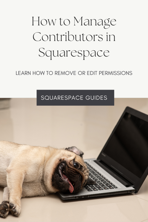How to Manage Contributors in Squarespace