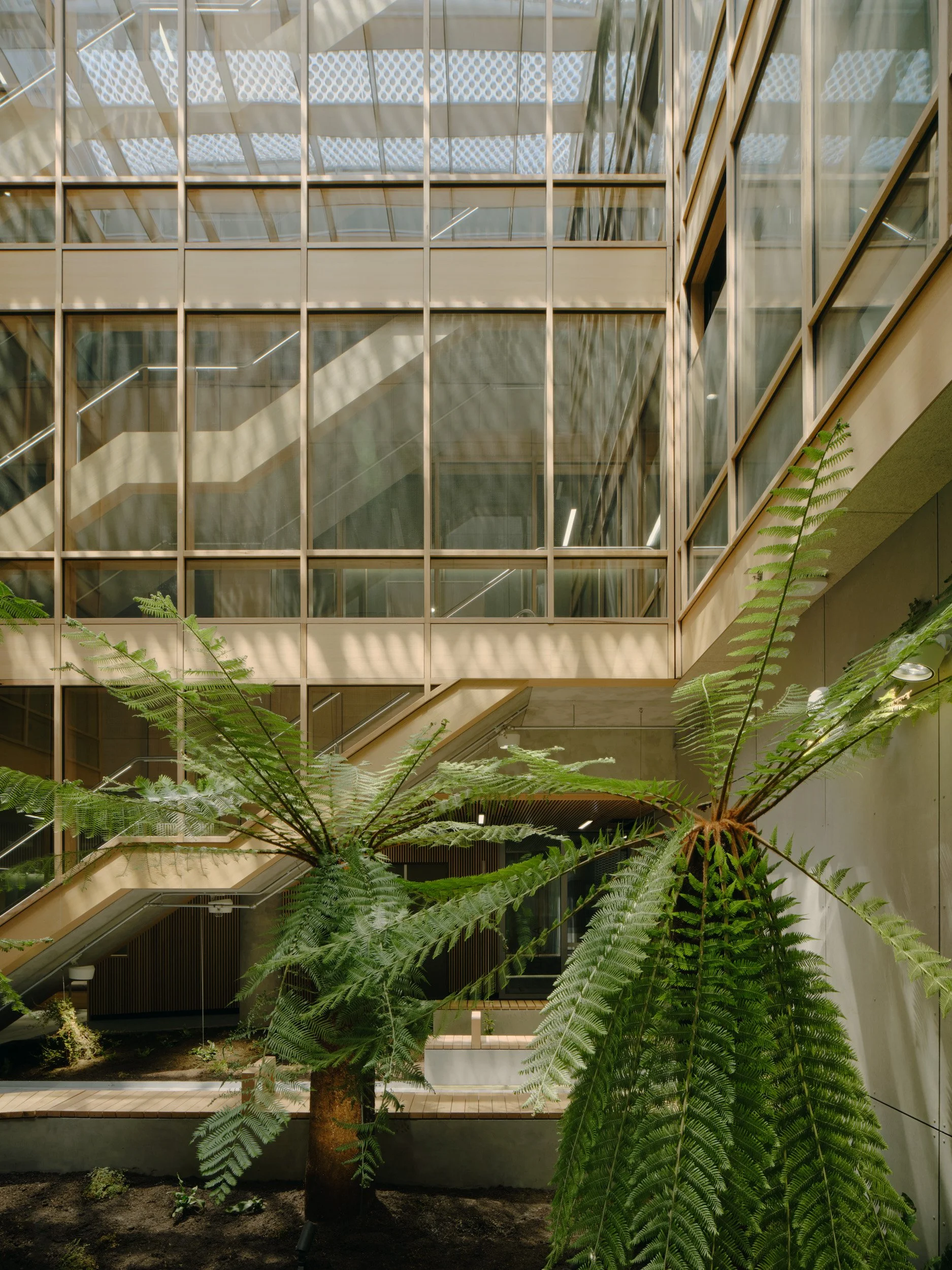 Centre for Higher Education Studies (CHES) | Figurehead Construction | Images: Tom Ross