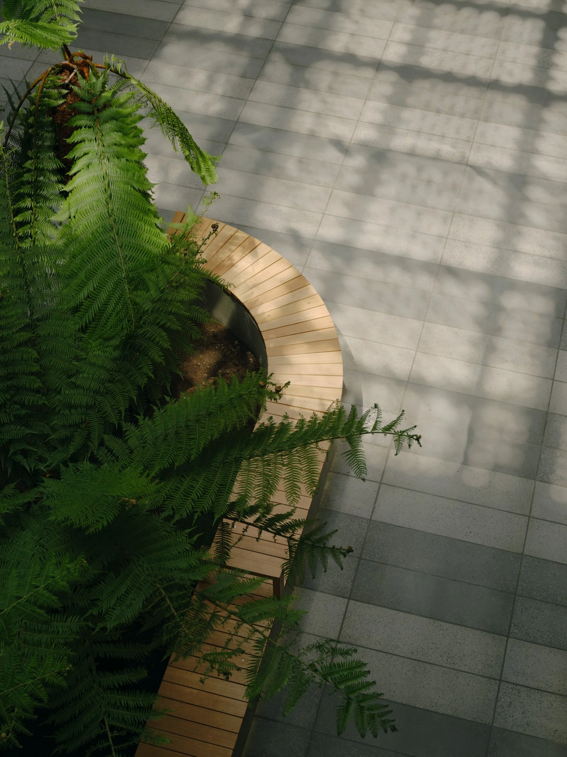 Centre for Higher Education Studies (CHES) | Figurehead Construction | Images: Tom Ross