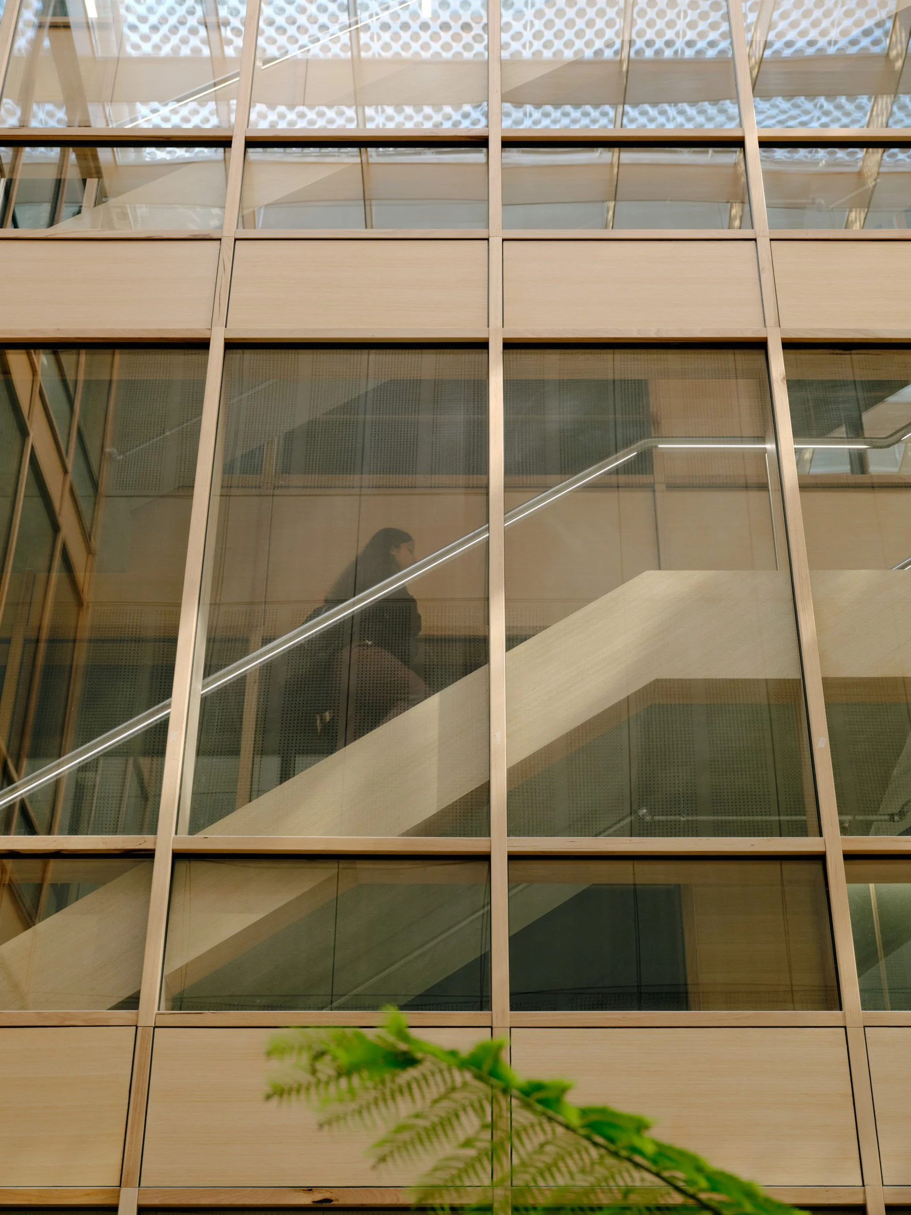 Centre for Higher Education Studies (CHES) | Figurehead Construction | Images: Tom Ross