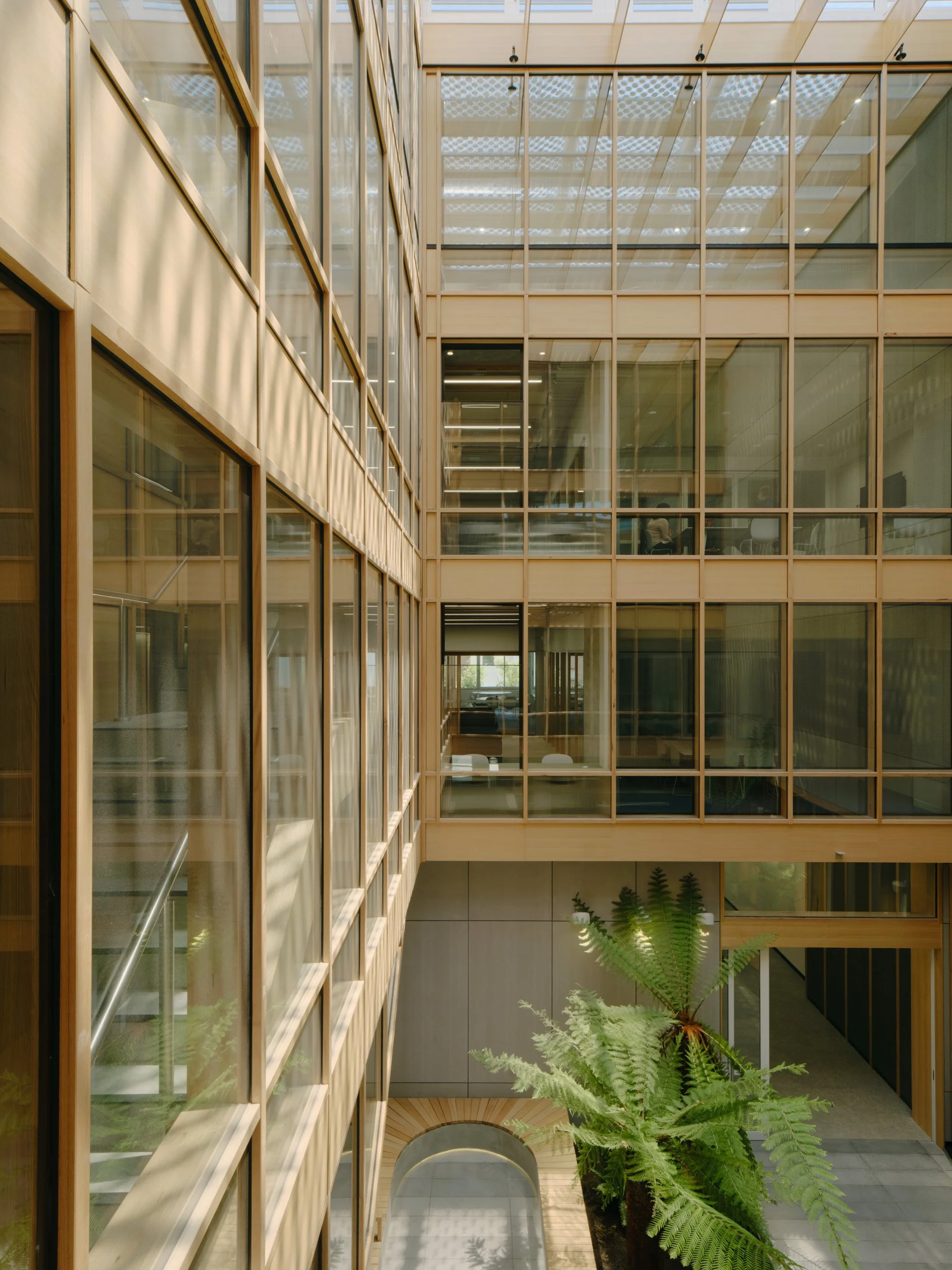 Centre for Higher Education Studies (CHES) | Figurehead Construction | Images: Tom Ross