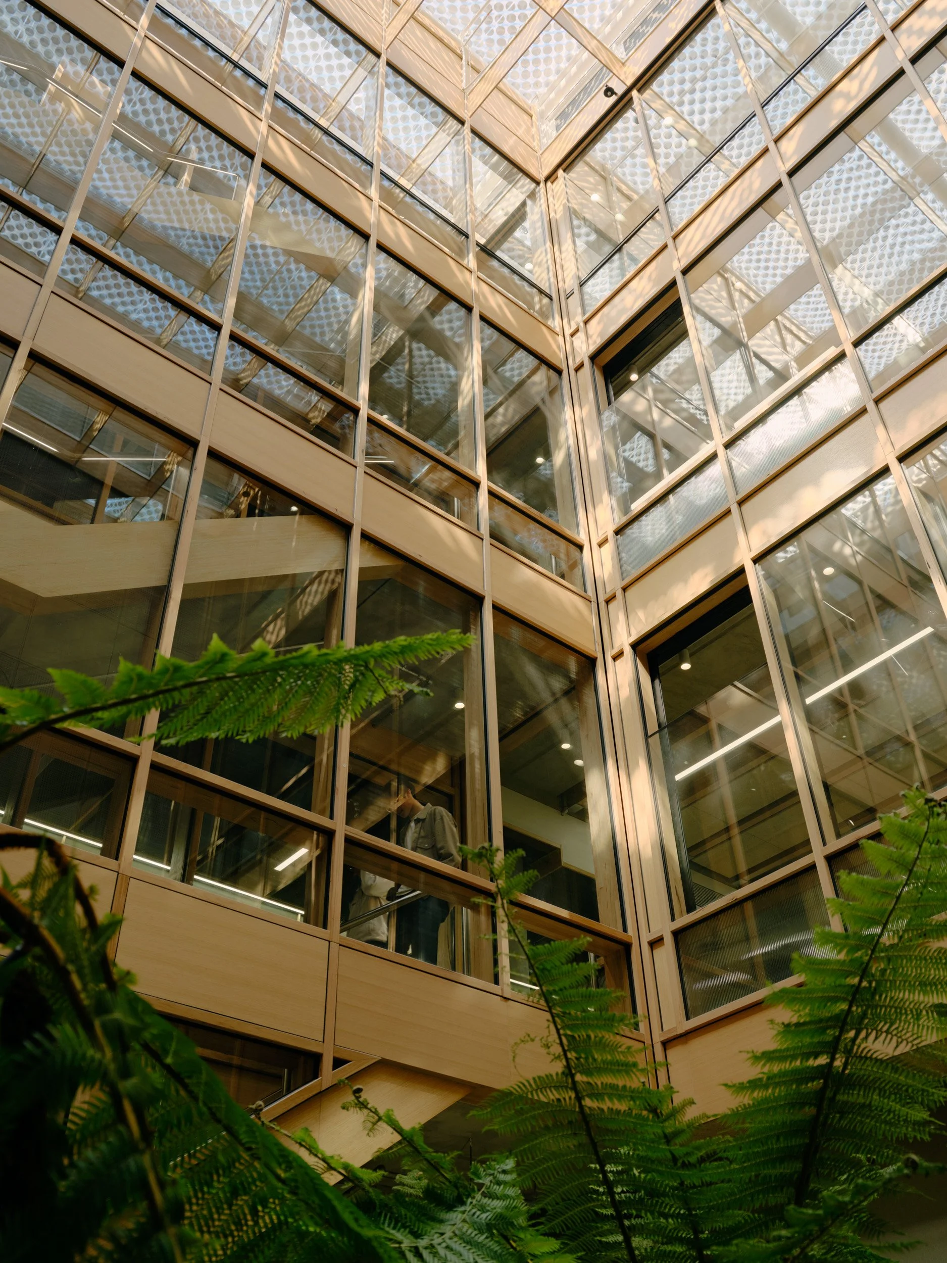 Centre for Higher Education Studies (CHES) | Figurehead Construction | Images: Tom Ross