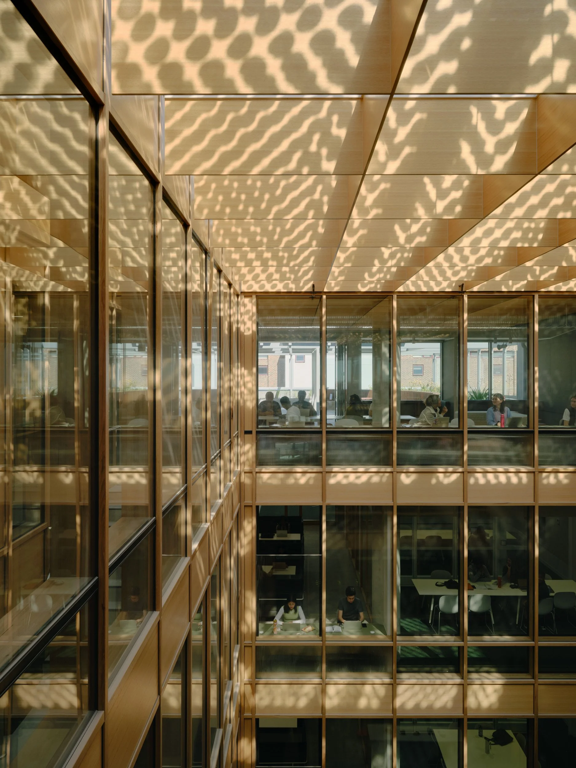 Centre for Higher Education Studies (CHES) | Figurehead Construction | Images: Tom Ross