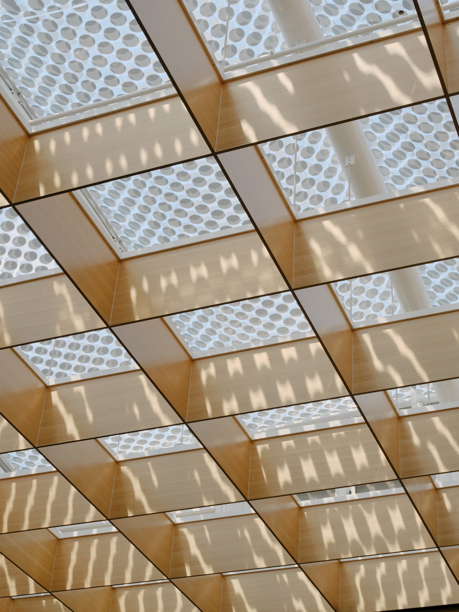 Centre for Higher Education Studies (CHES) | Figurehead Construction | Images: Tom Ross