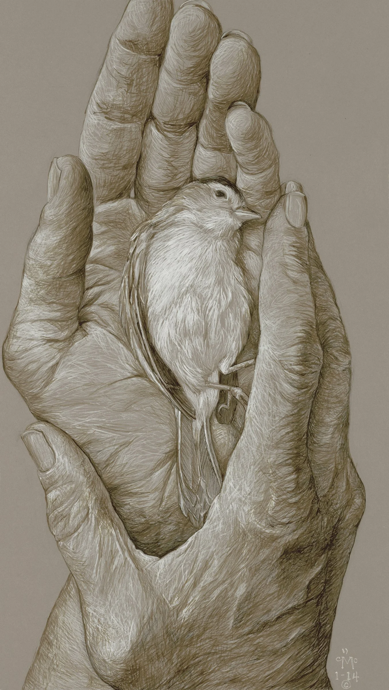 Drawing