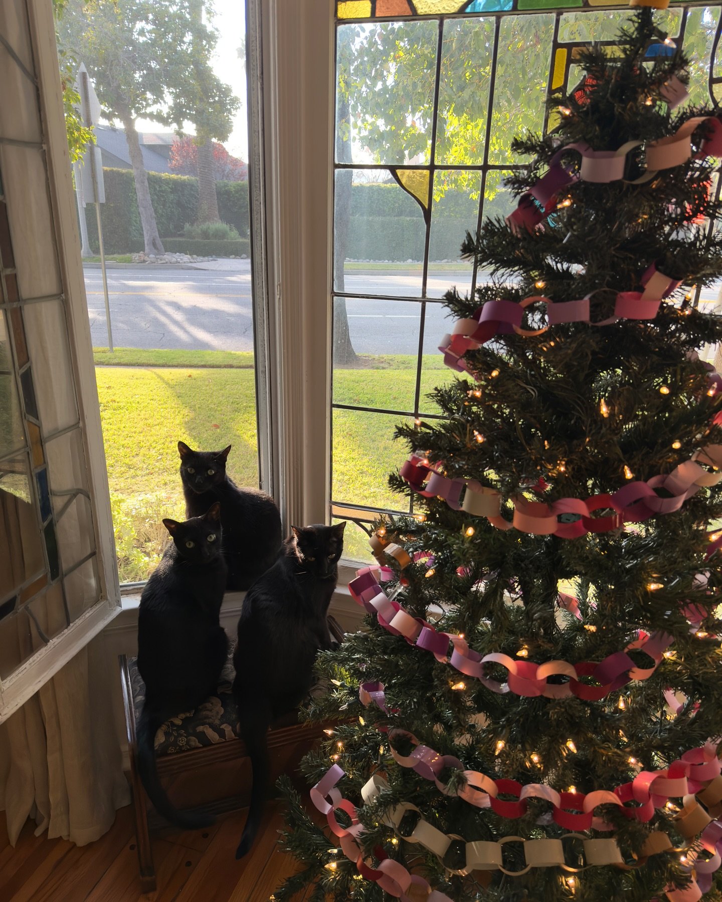 Consider this our Christmas card 💌🎄