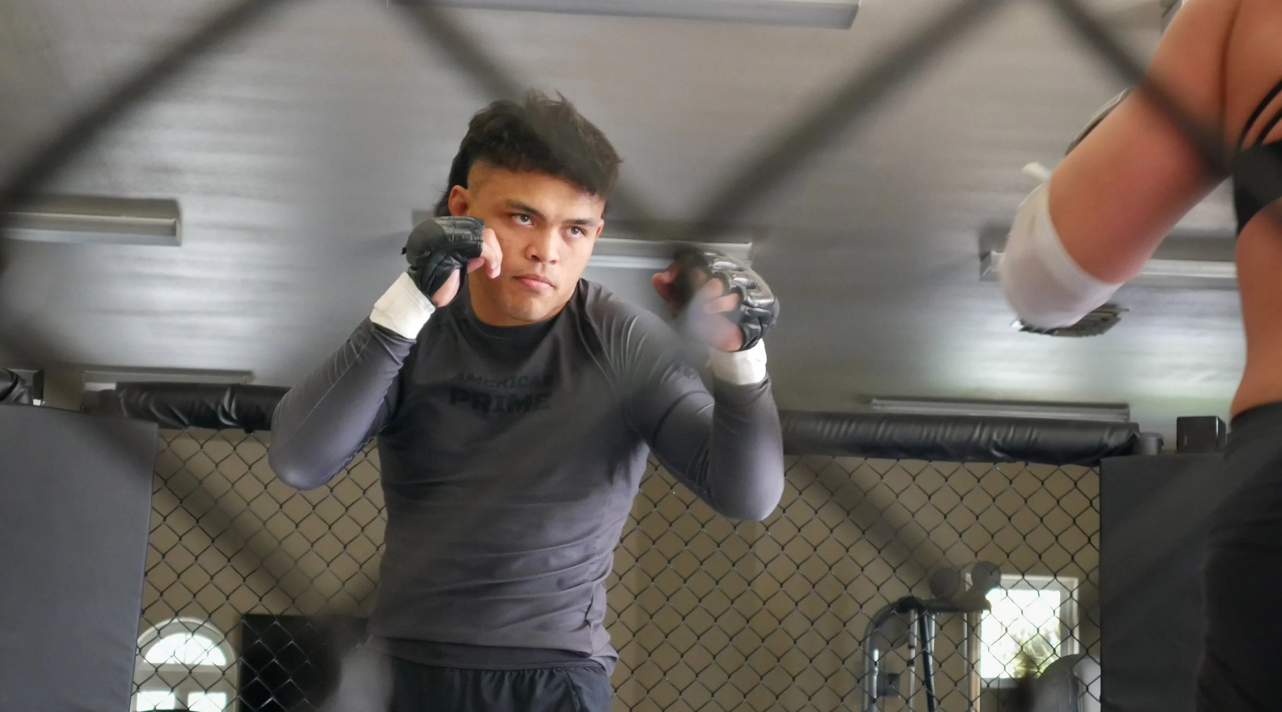 LV - Ronda, Taro-3.jpg