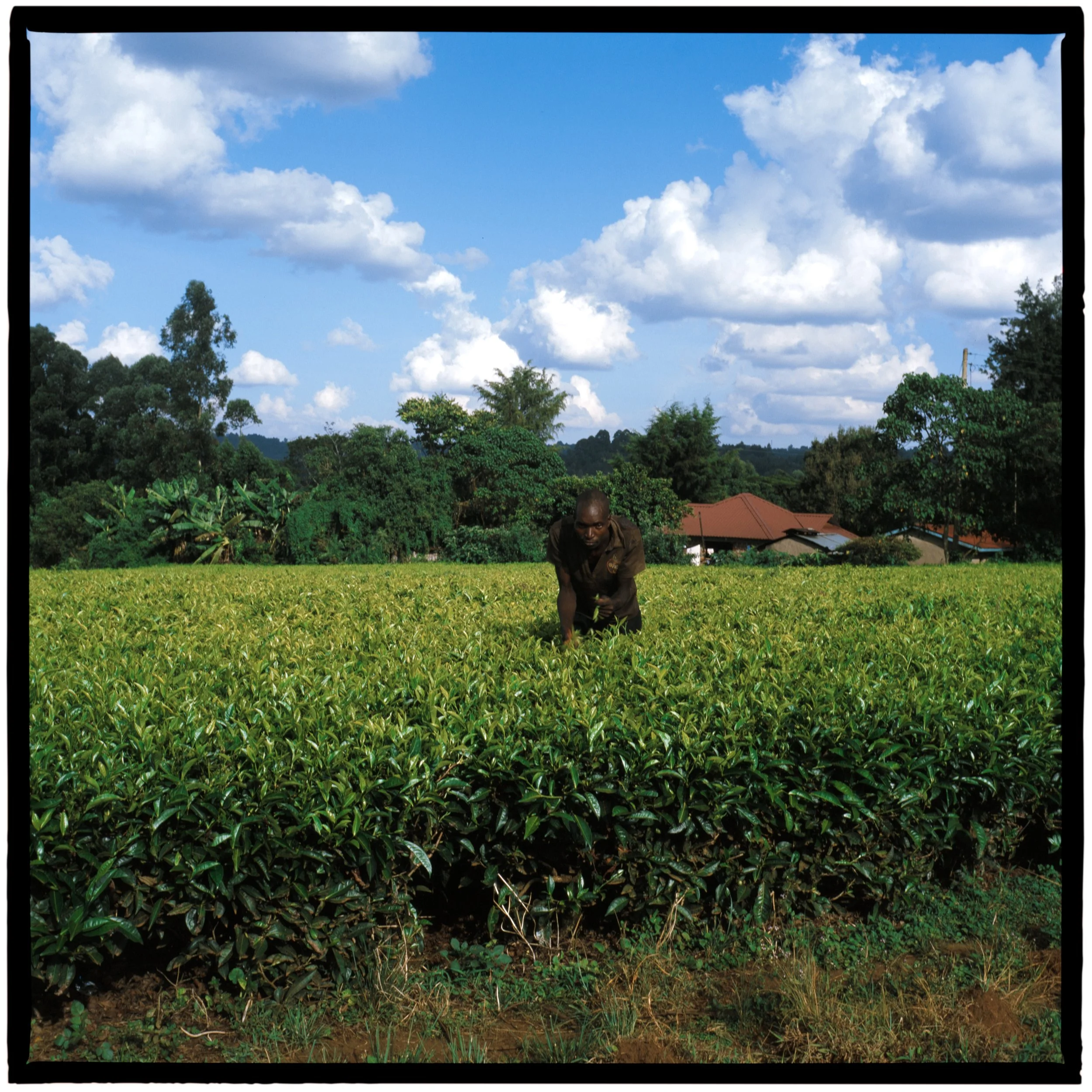 Stories-Kenya-11.jpg