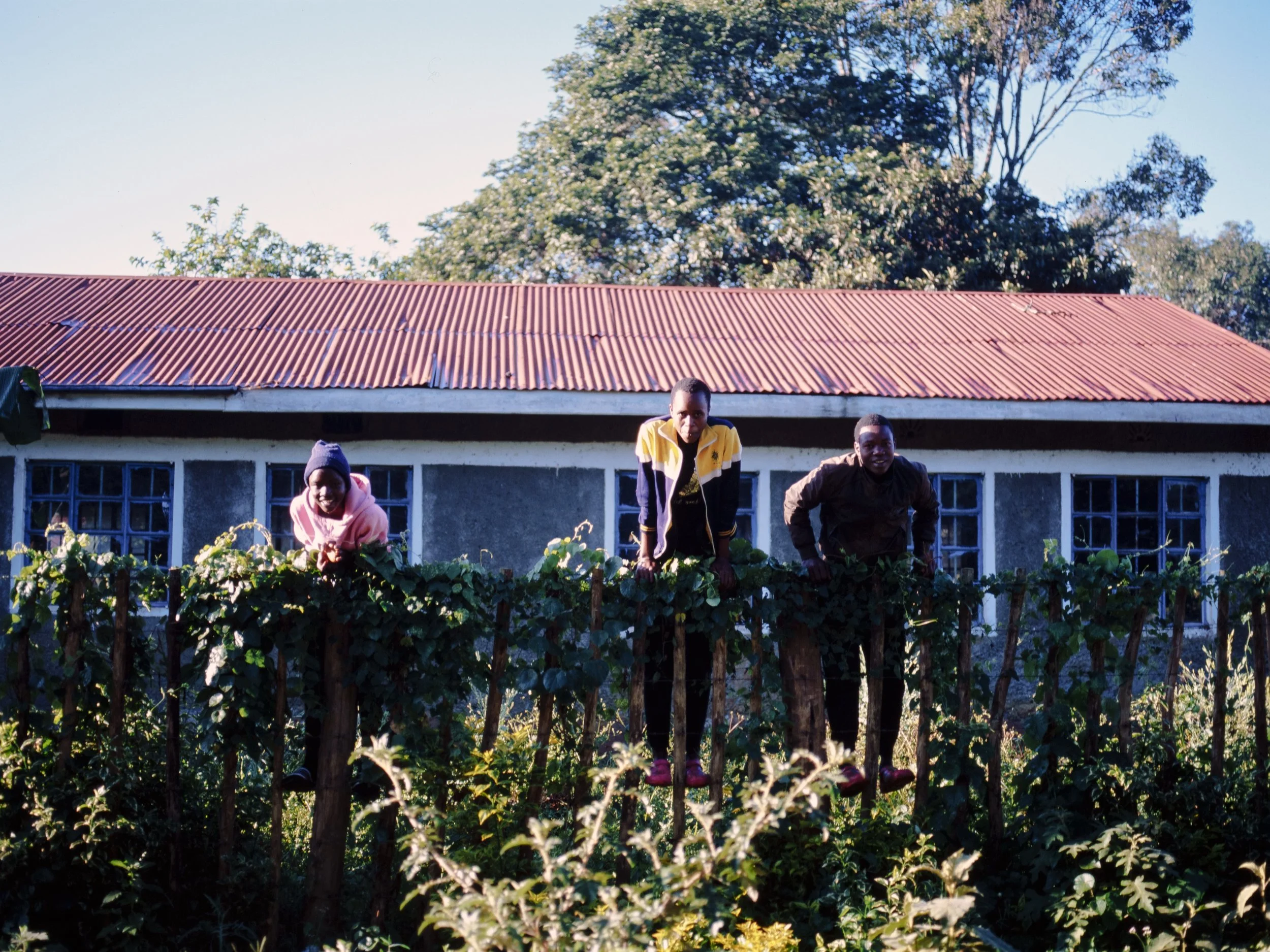 Stories-Kenya-2.jpg
