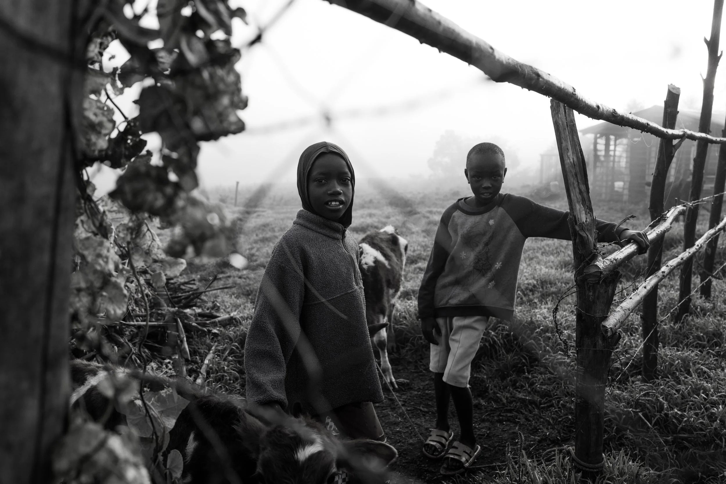 Stories-Kenya-44.jpg