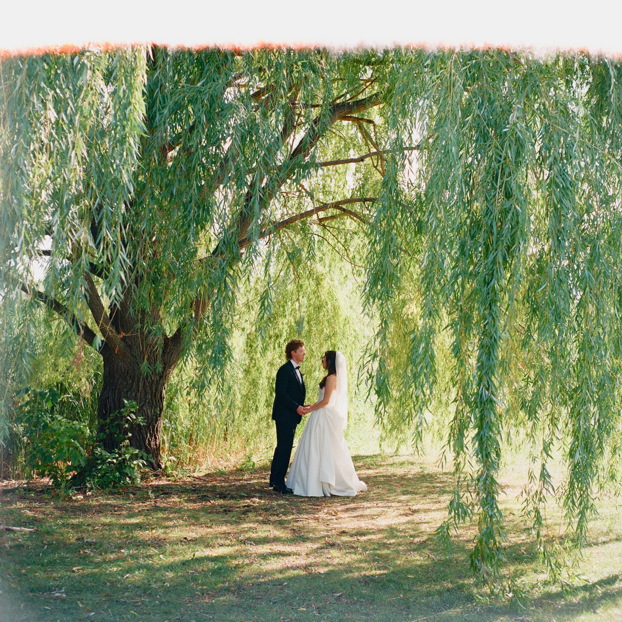 Matrimony-157.jpg