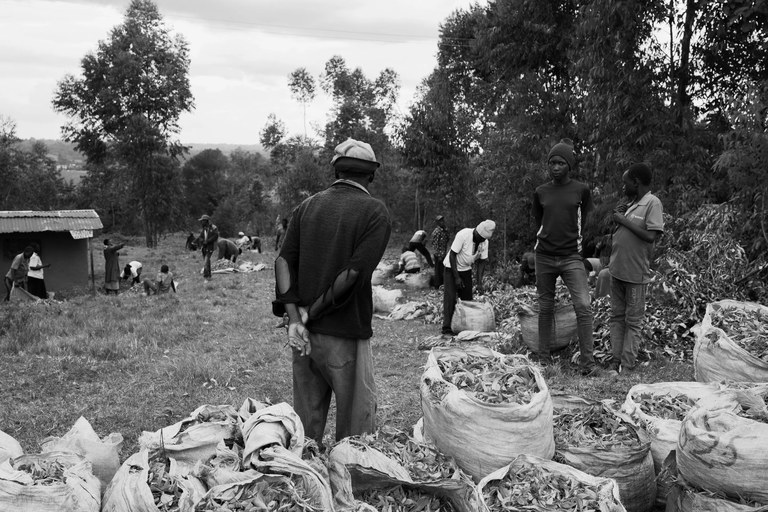 Stories-Kenya-39.jpg