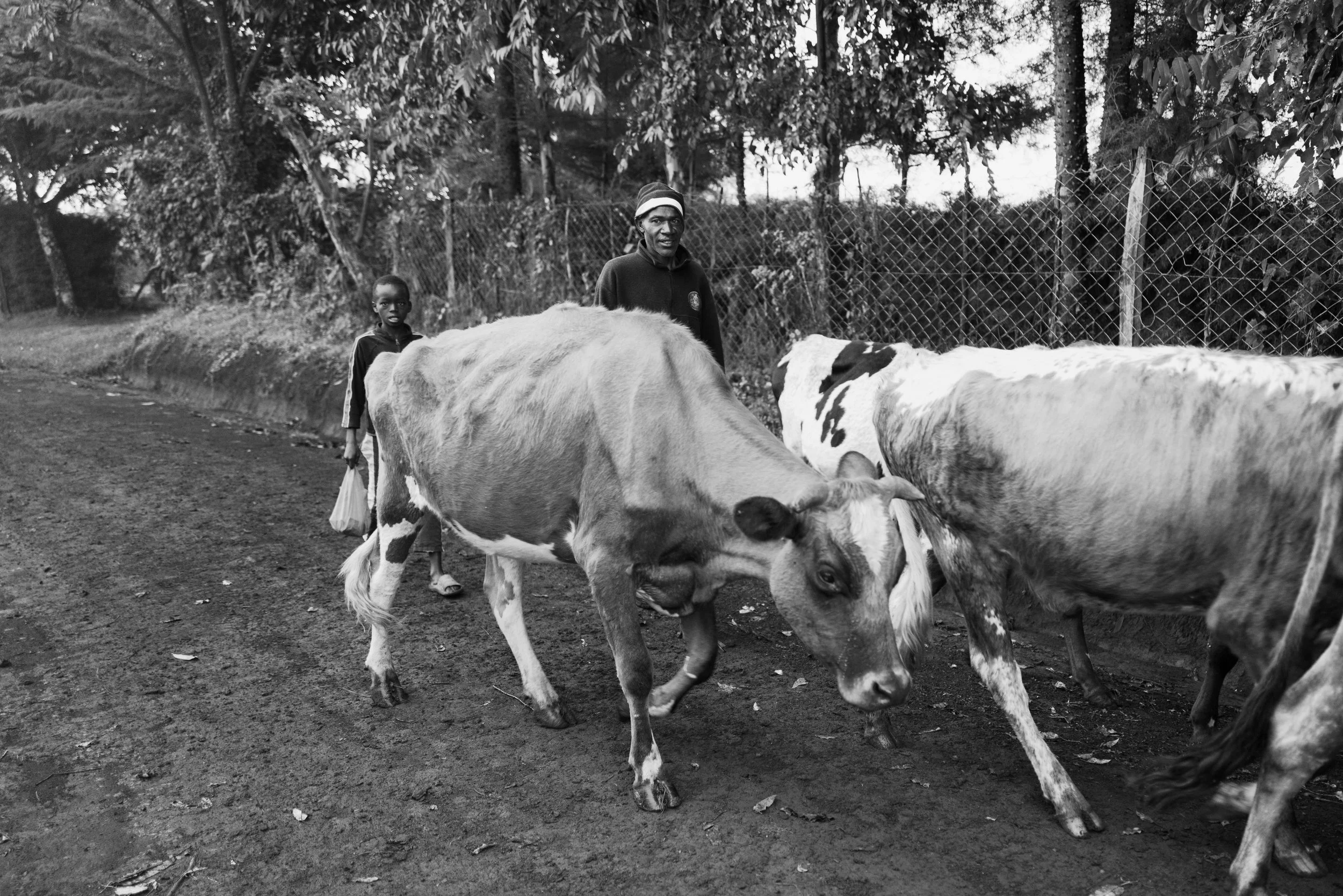 Stories-Kenya-42.jpg
