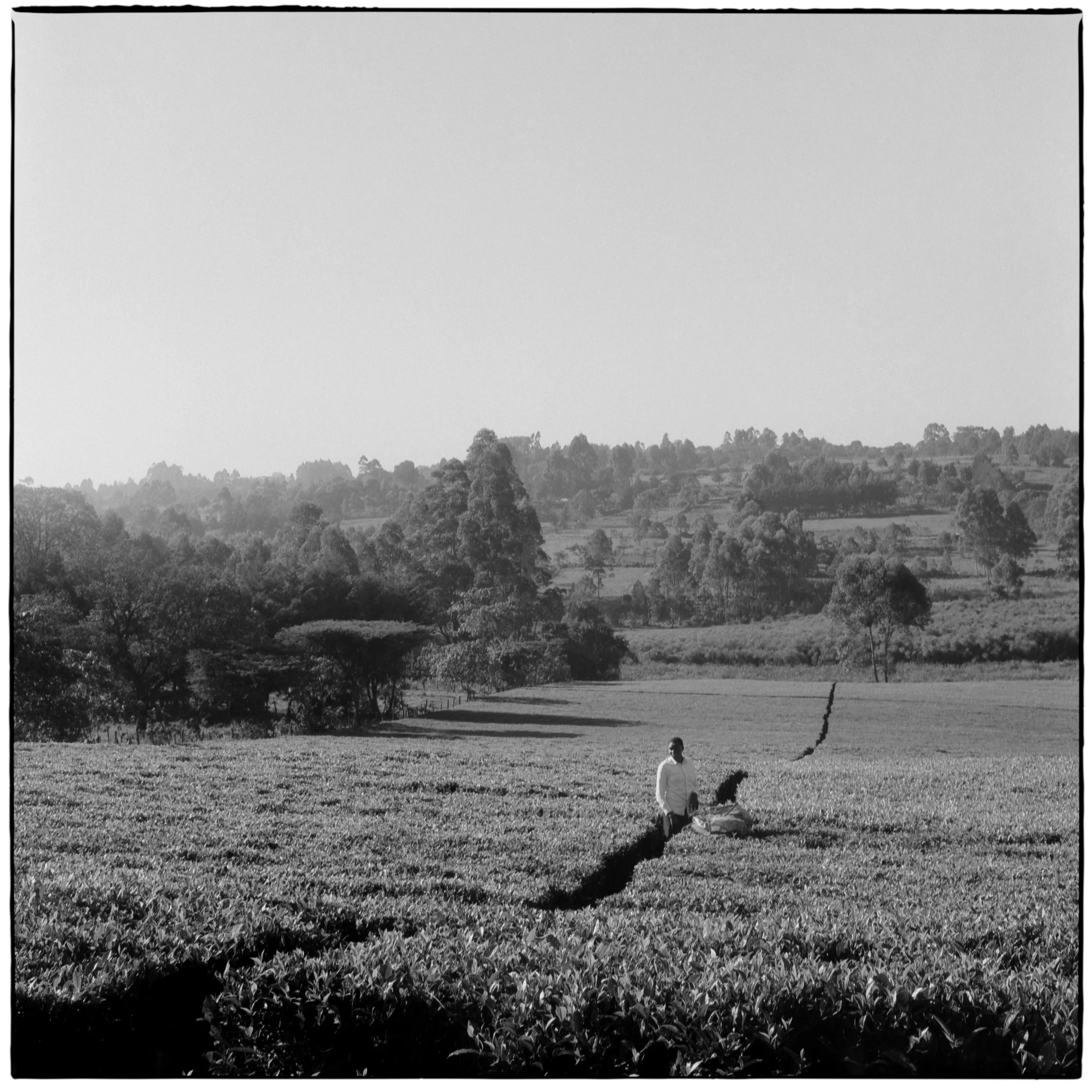 Stories-Kenya-3.jpg