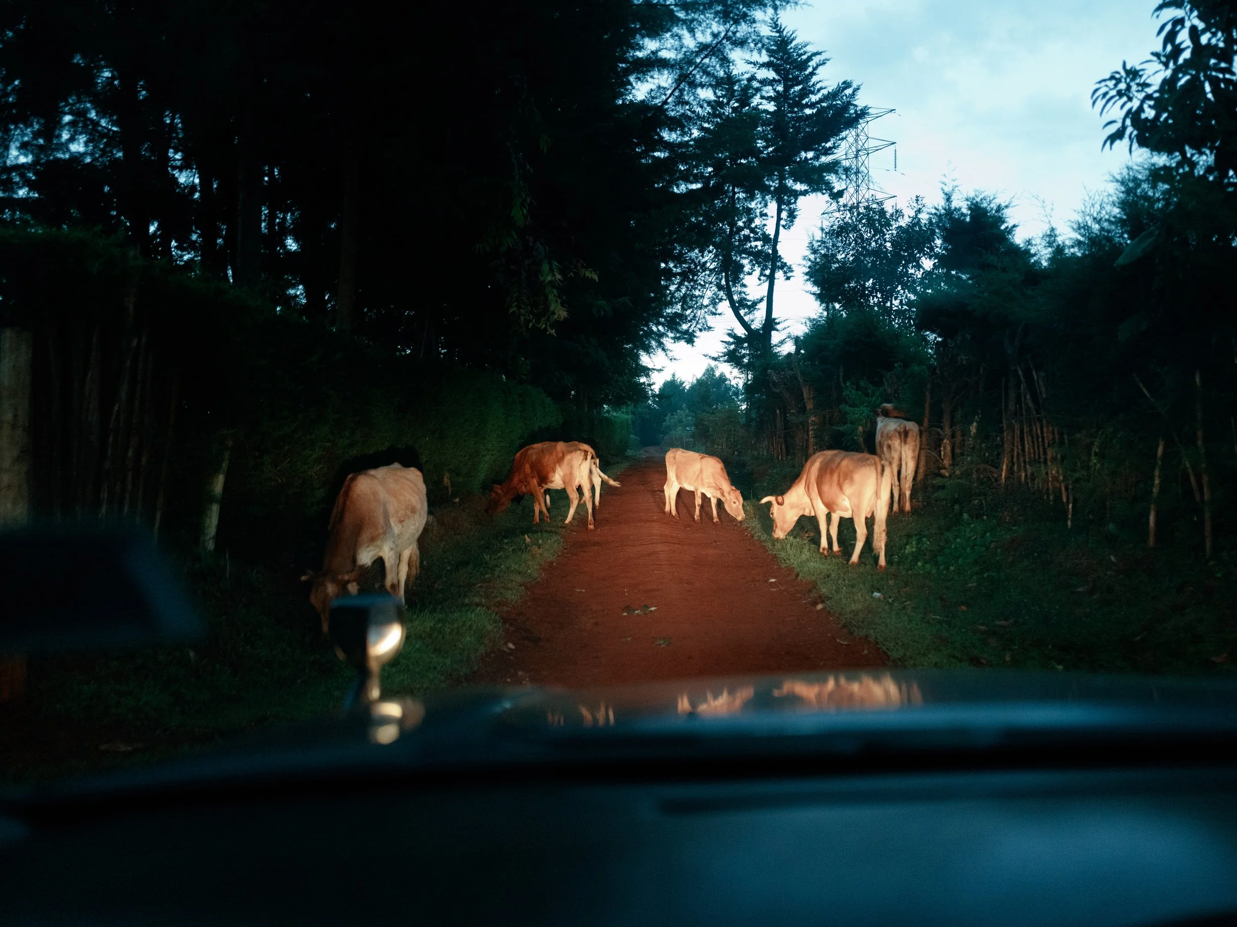 Stories-Kenya-23.jpg