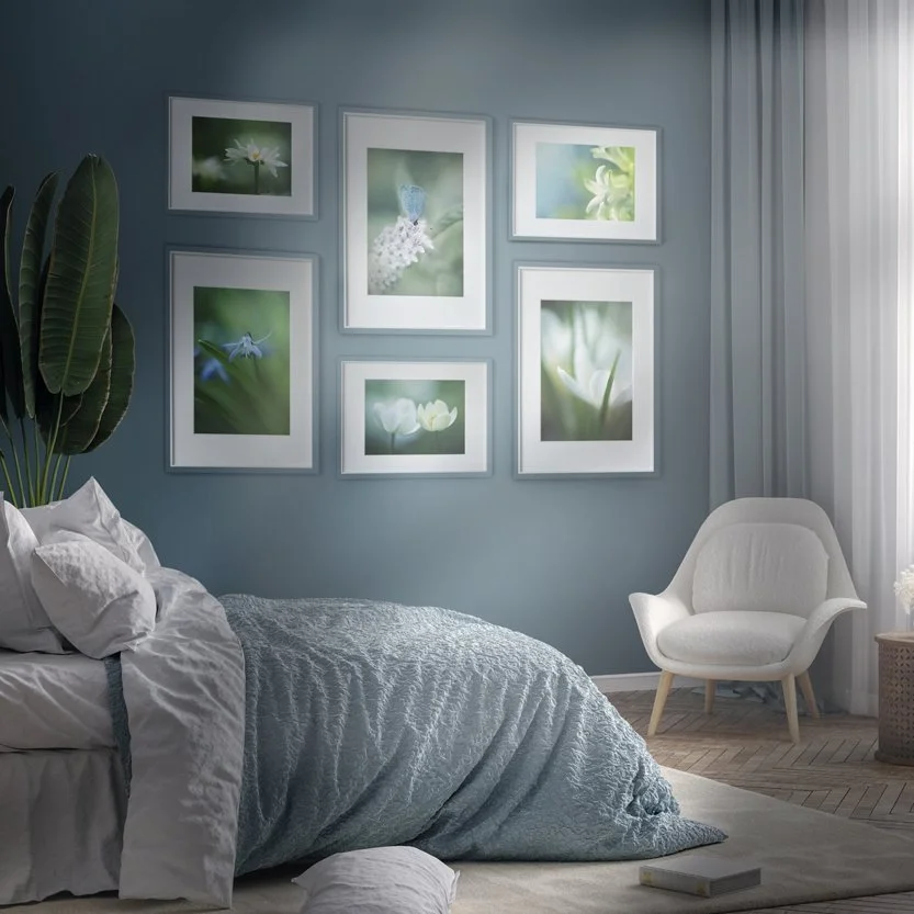 Soft Spring Collection sq.jpg