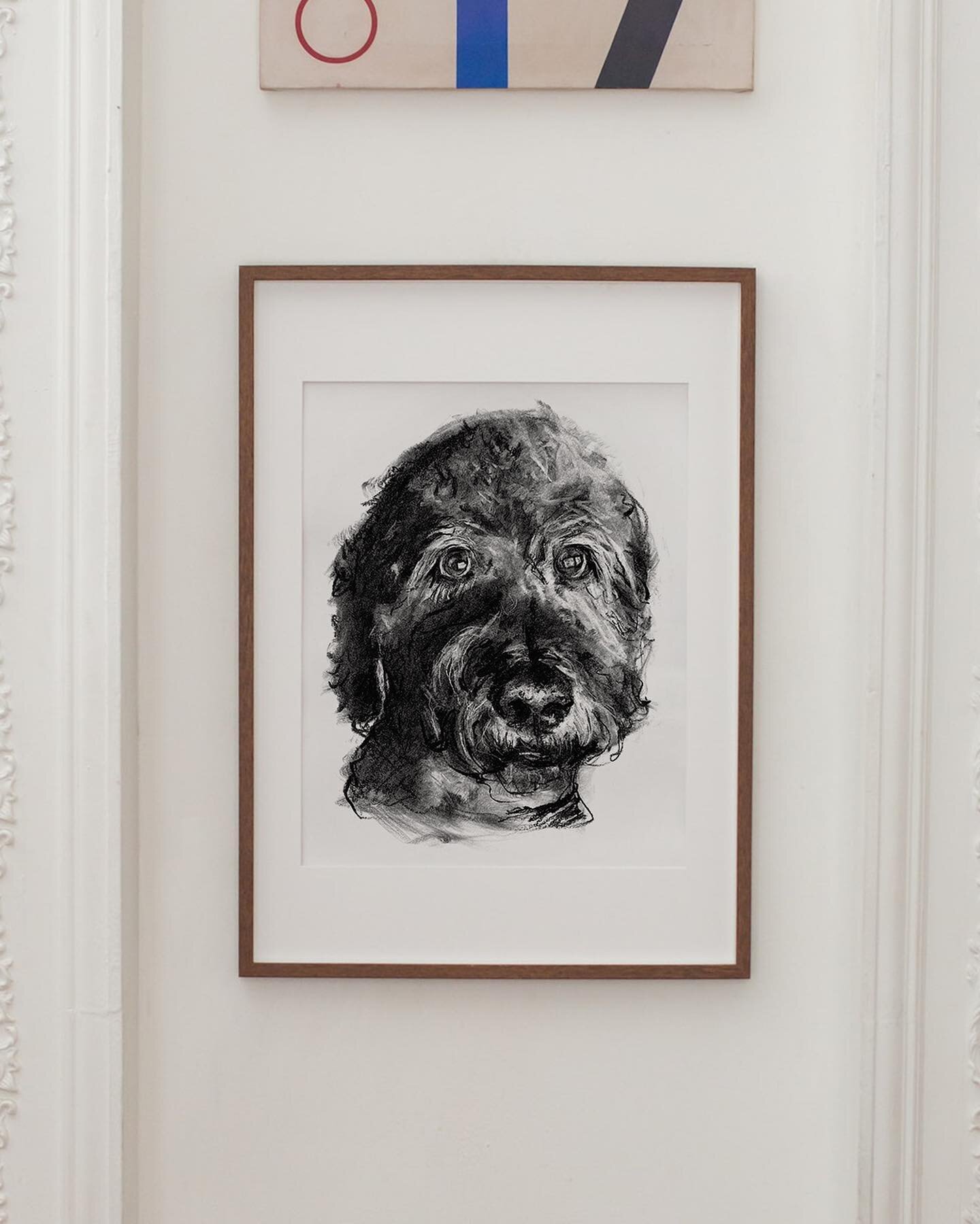 Elevate your space with a large-scale charcoal pet portrait. 

#pets #art #custommade #portrait #apartmentdecor #charcoaldrawing #dogsofinstagram