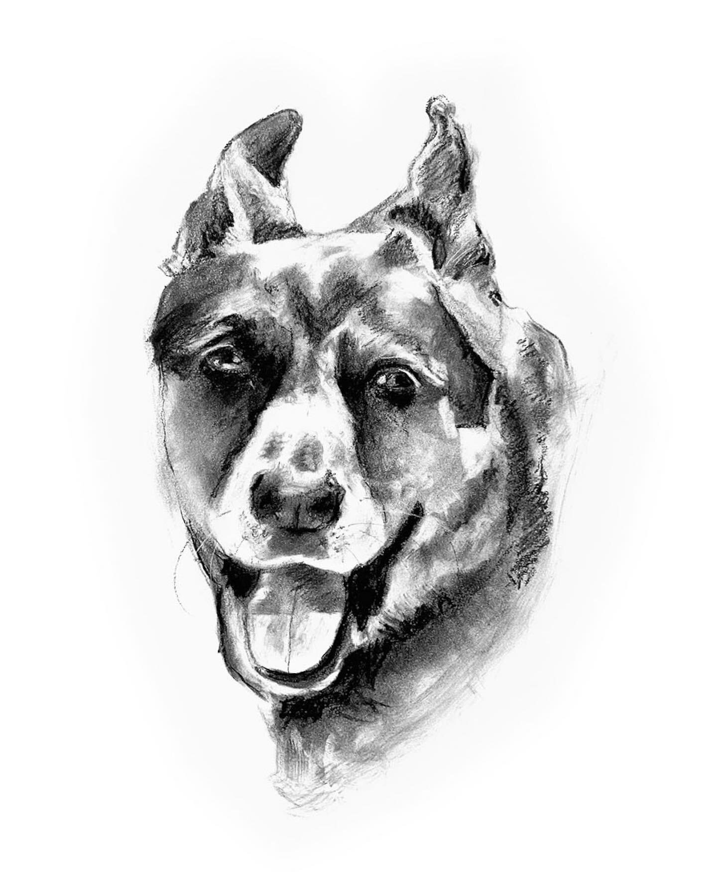 Contemporary pet portraits 

#dogs #charcoaldrawing #art #homedecor #customart #drawing #petportrait