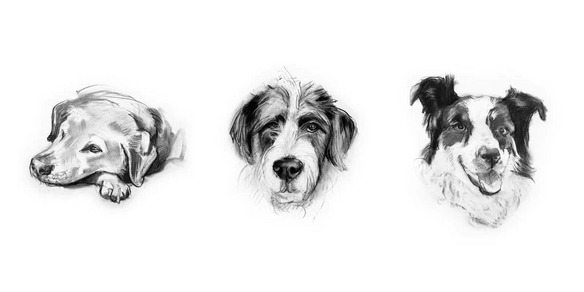 Roxy_All drawings_1.jpg
