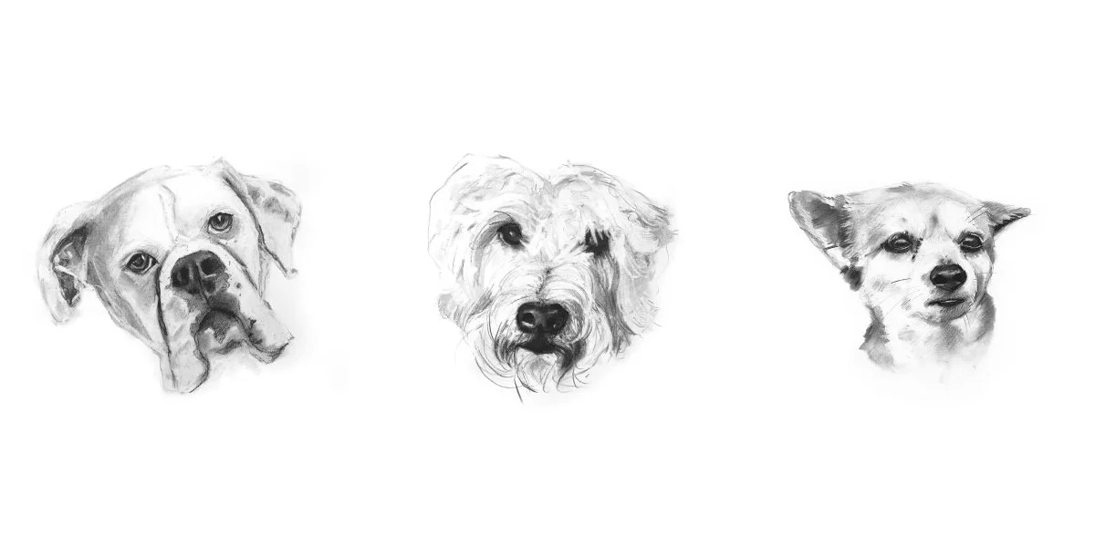 Roxy_All drawings_3.jpg