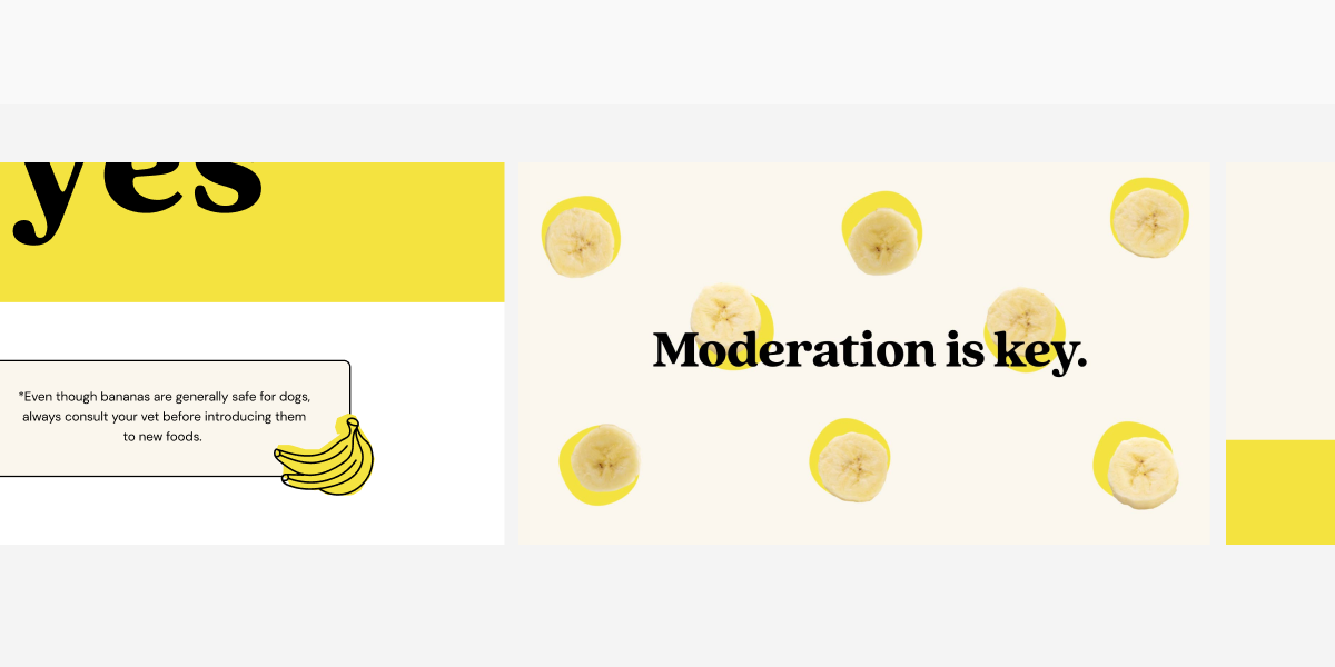 Editorial 8.png