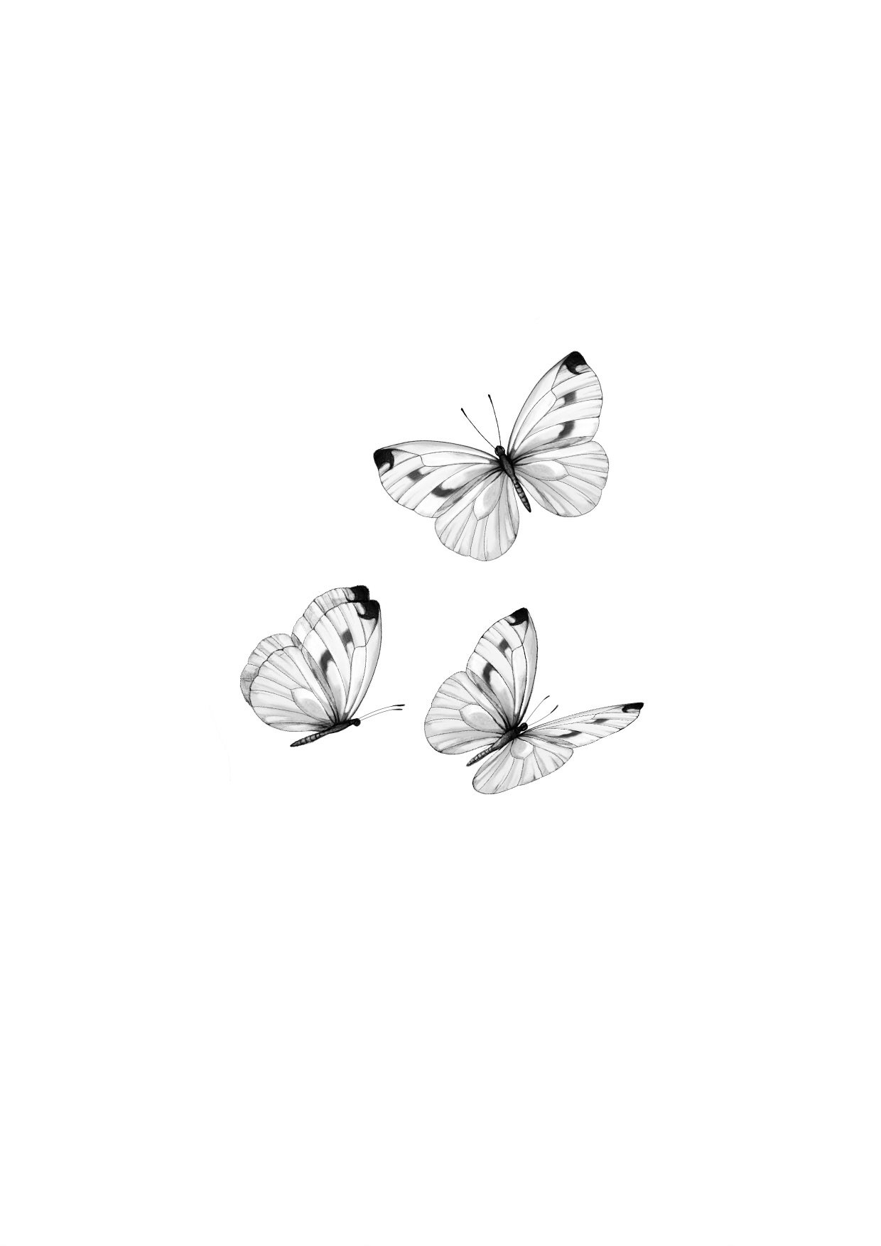 ButterflyDance1_Guru.jpeg
