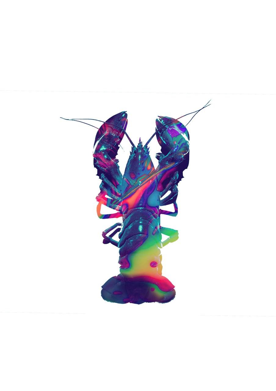 Slava_Crustacean high.jpeg