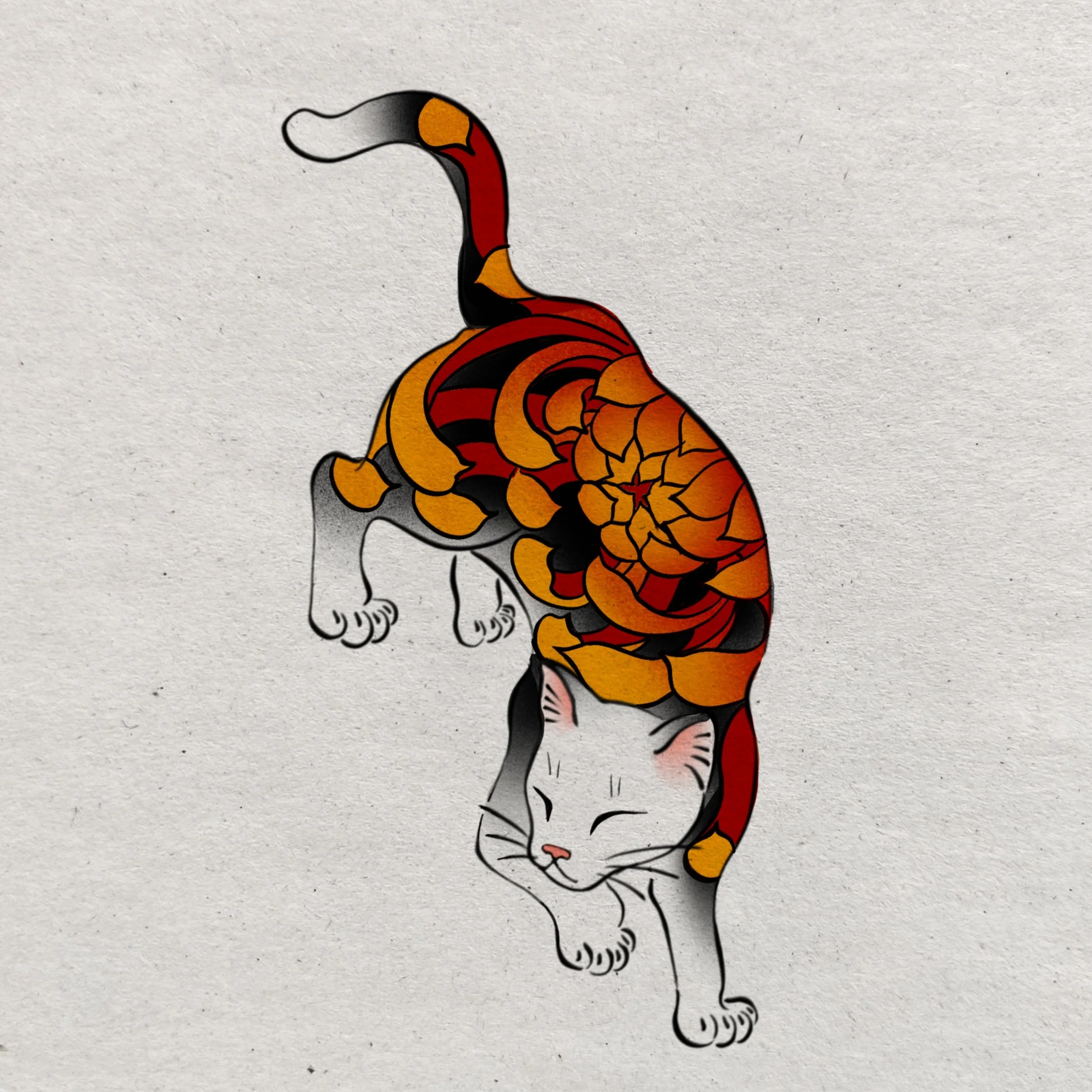 Chrysanthemum Cat