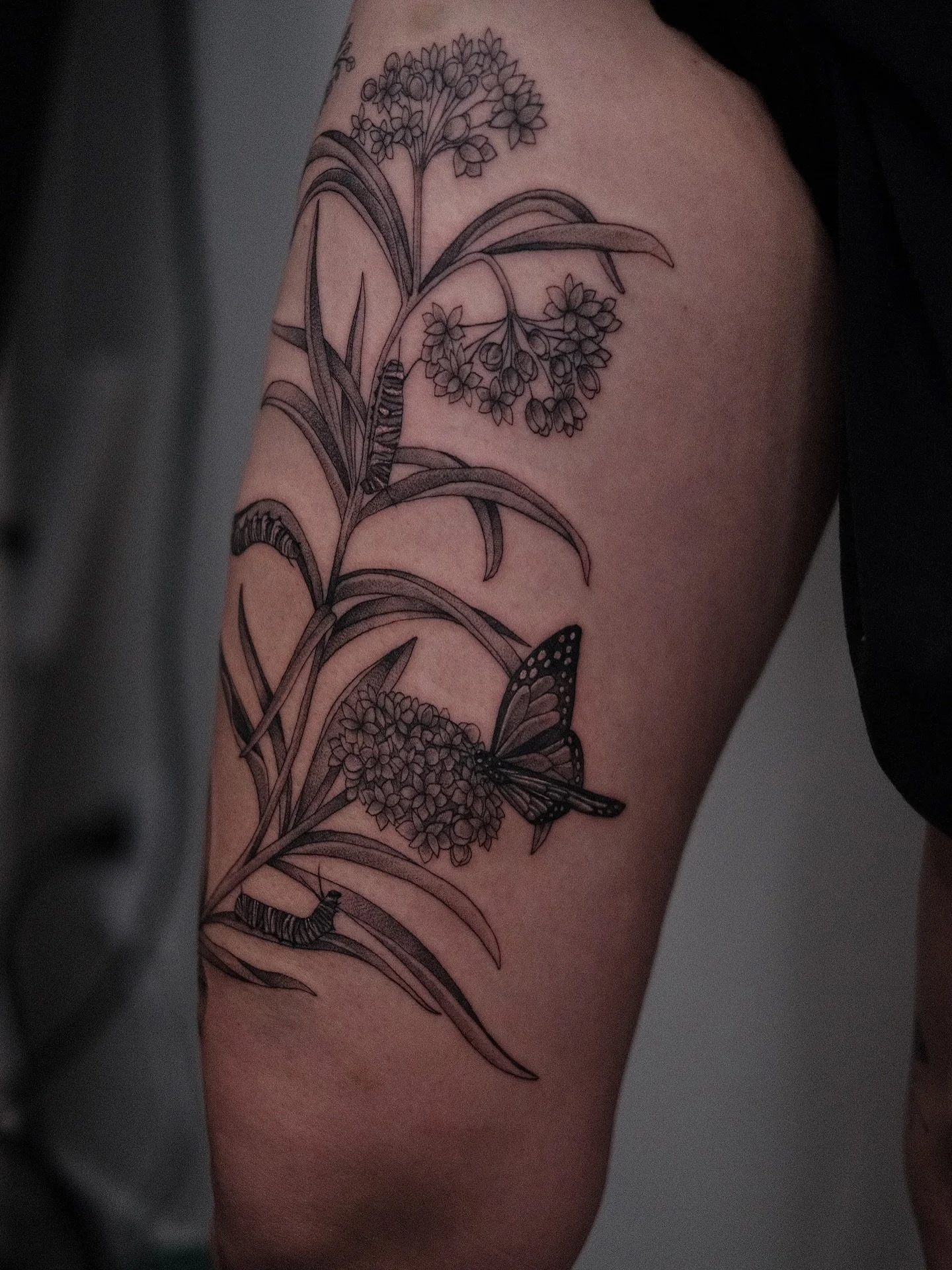 🦋🌿 by @izztheartist