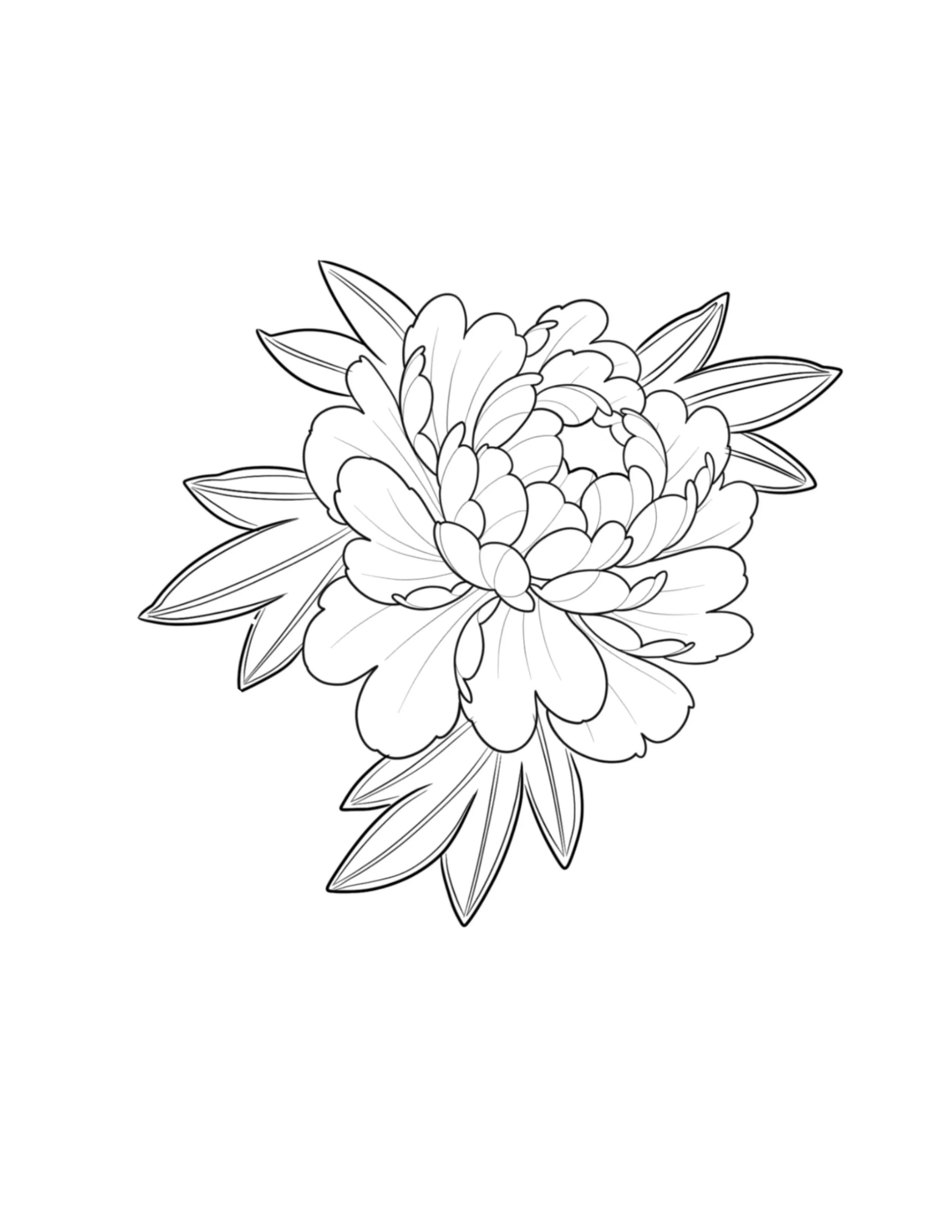 Peony