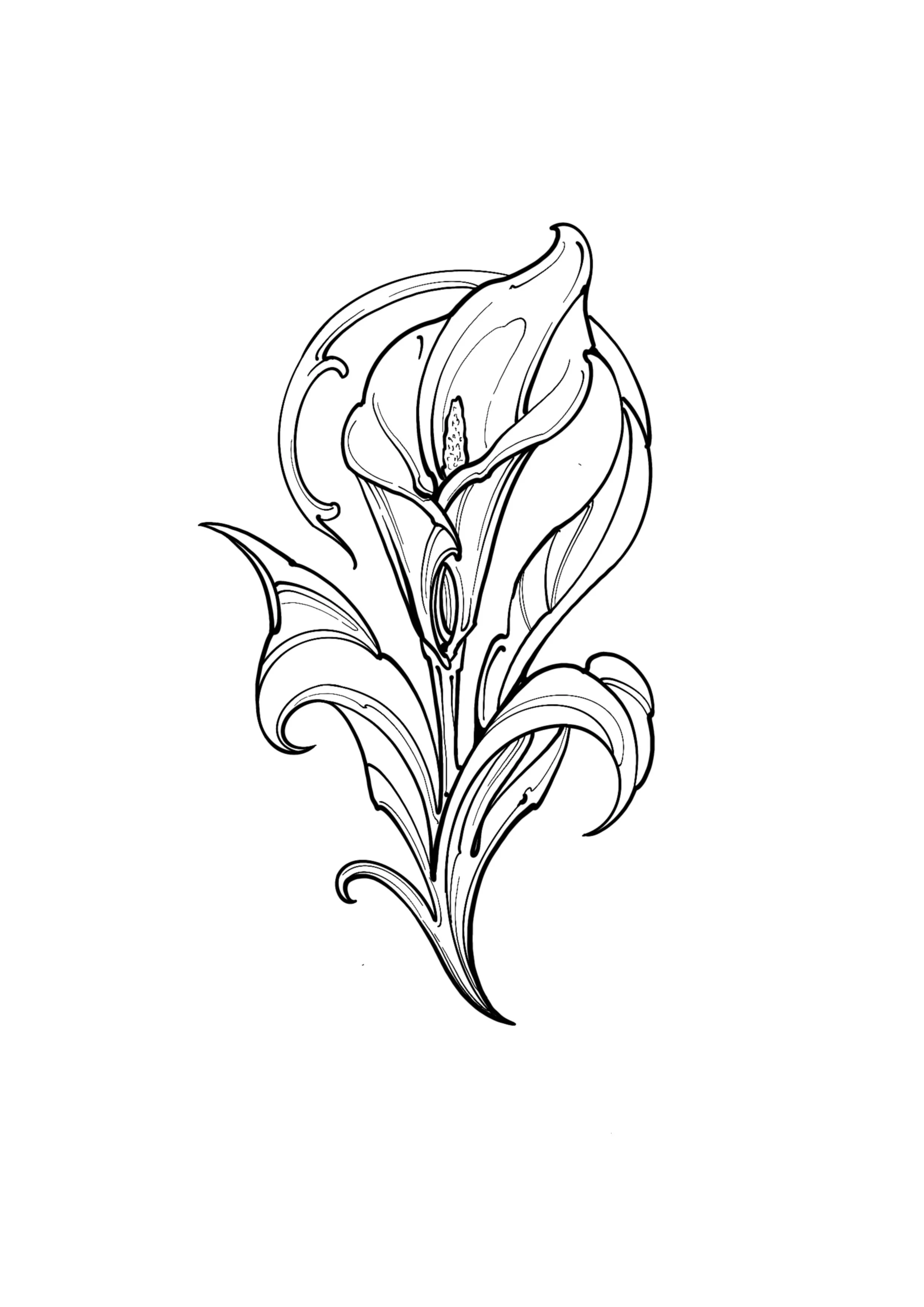 Ornamental Lily