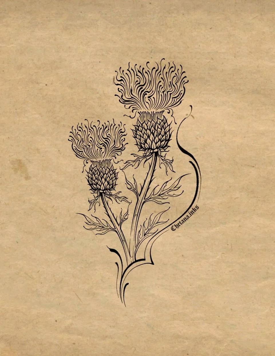 Chetana_Thistle.jpeg