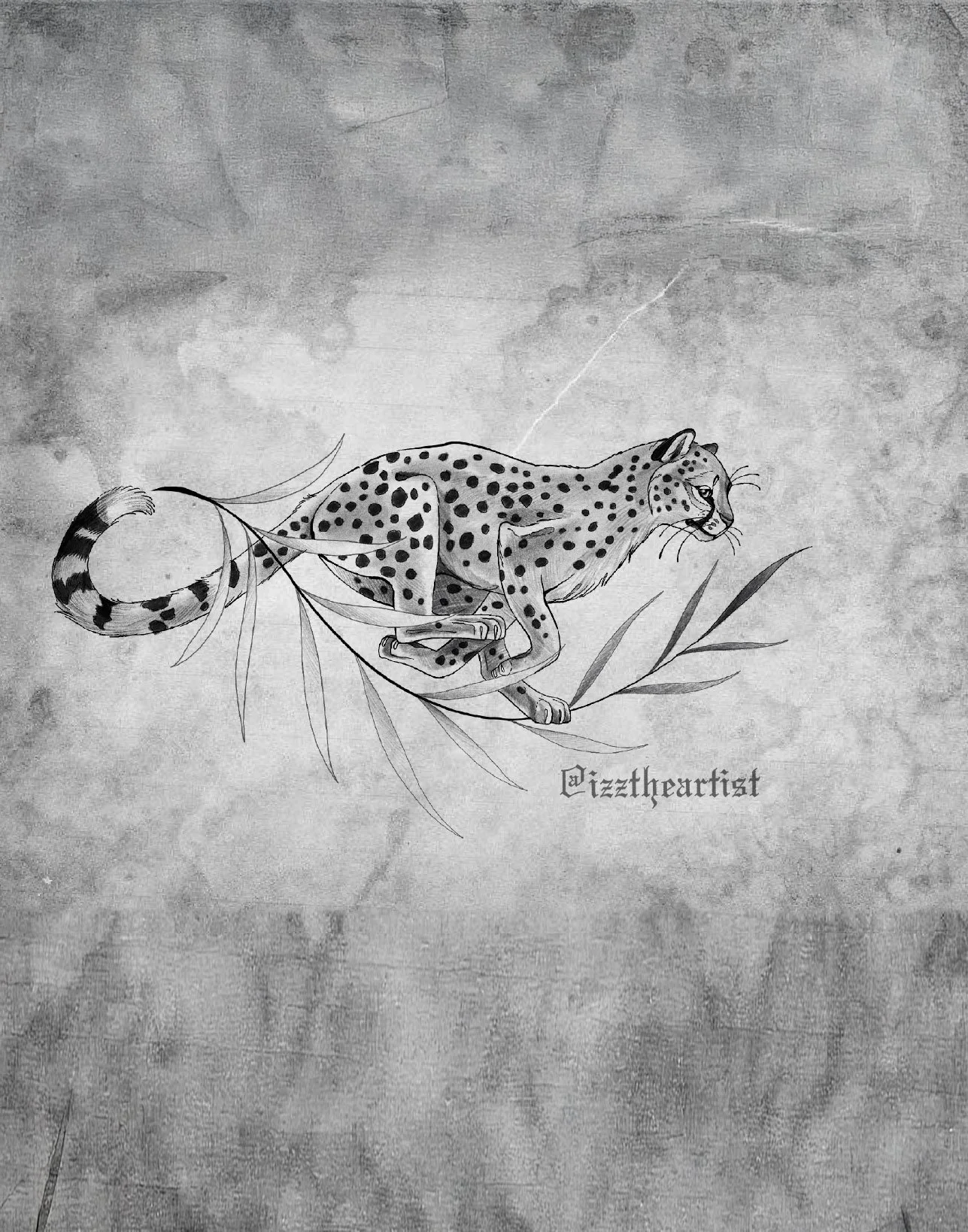 izzy_Cheetah_gurutattooflash-1.jpg
