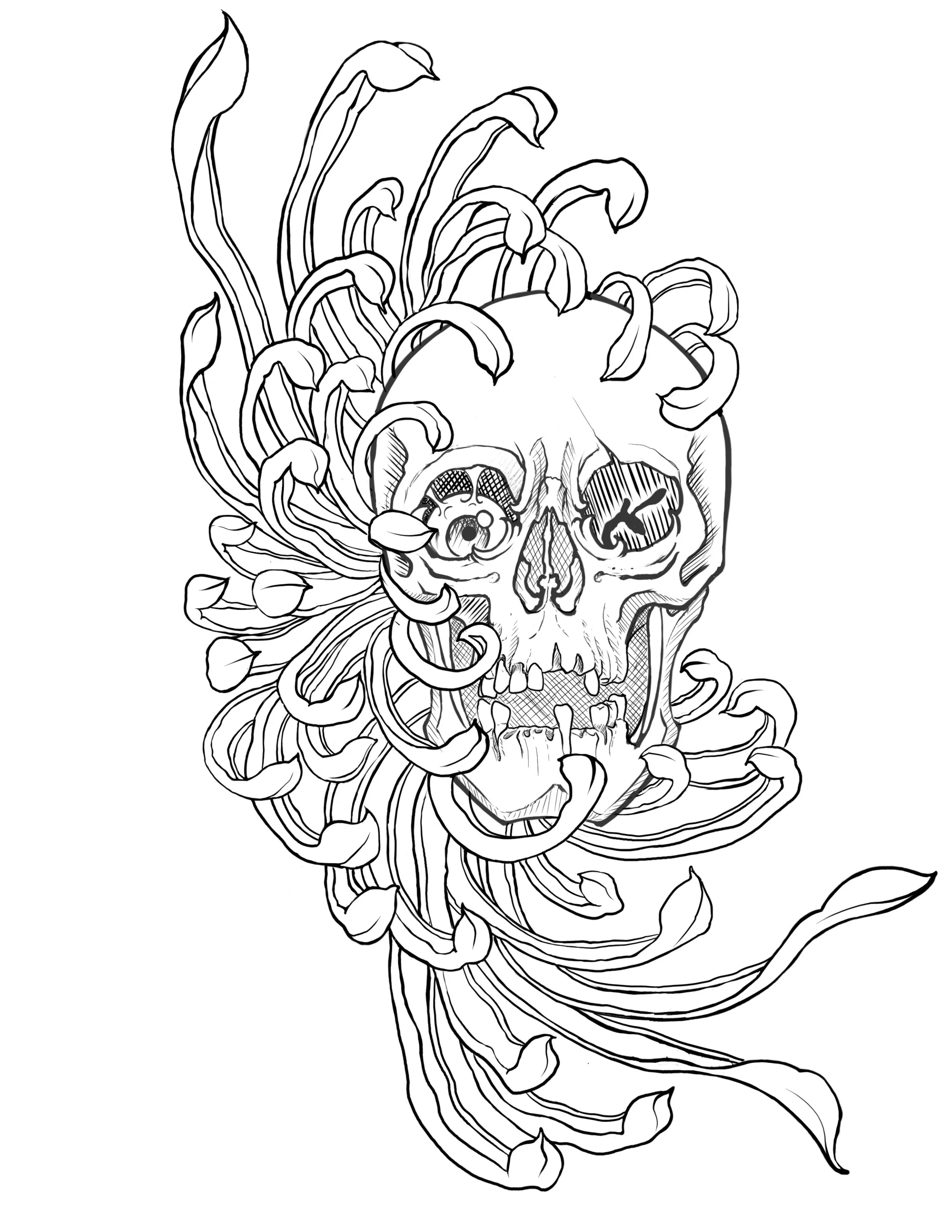Bean_Skull Chrysanthemum.jpeg