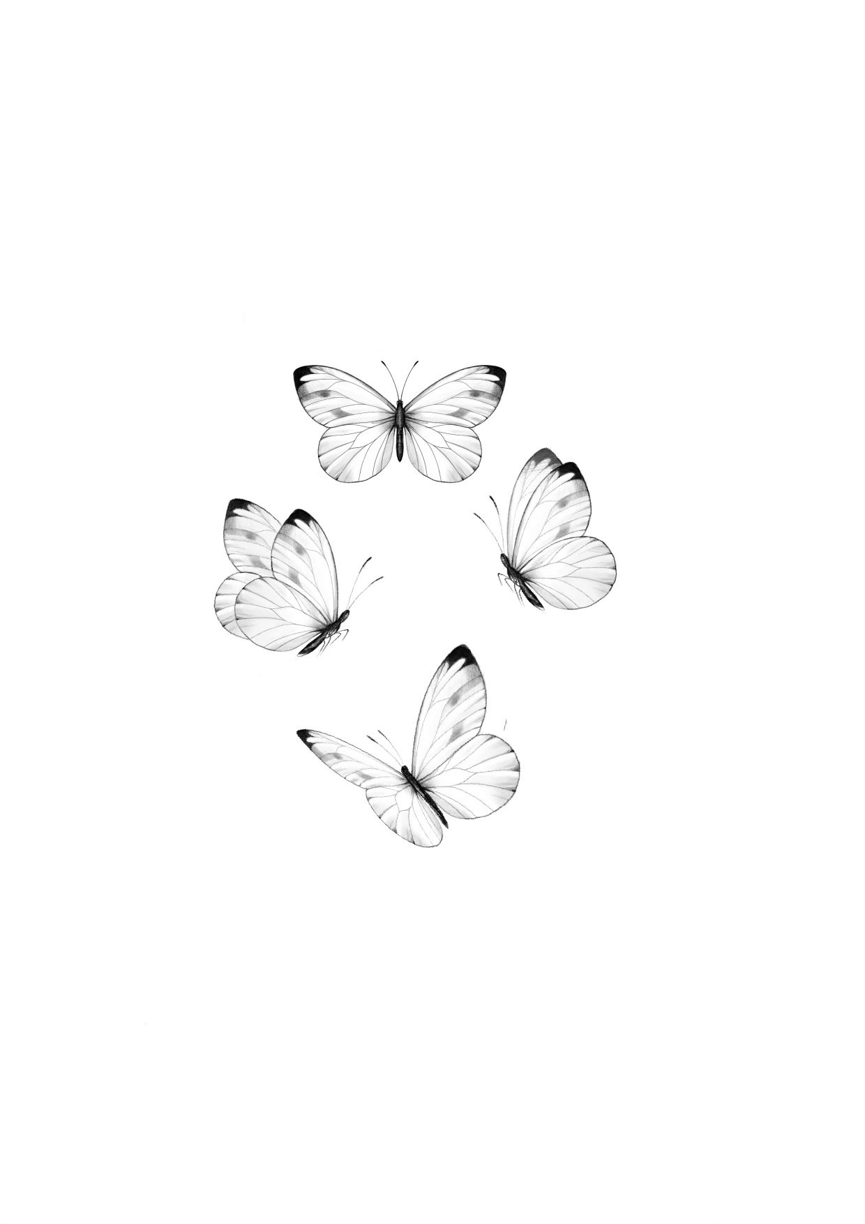 ButterflyDance2_Guru.jpeg