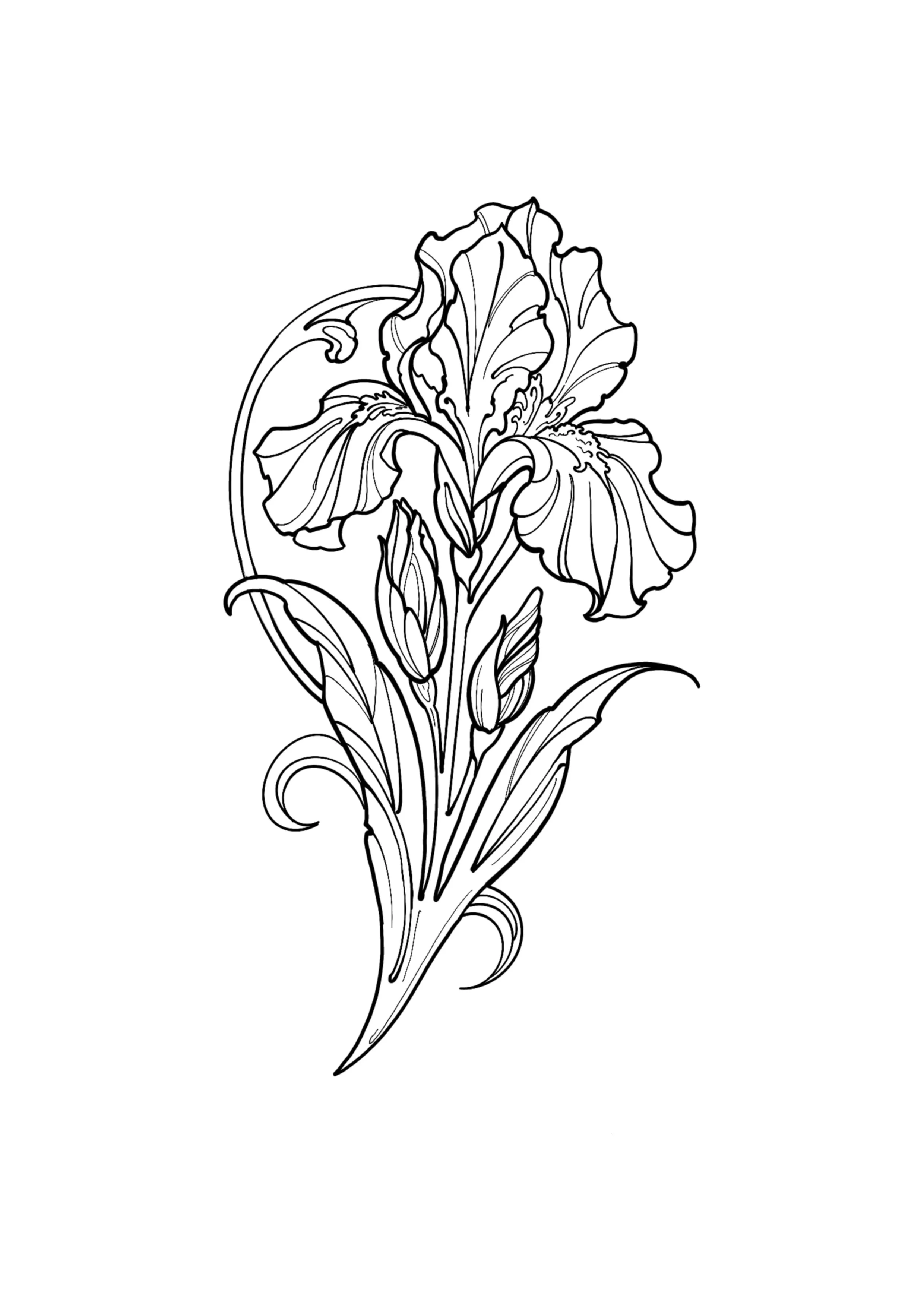 Flower 1