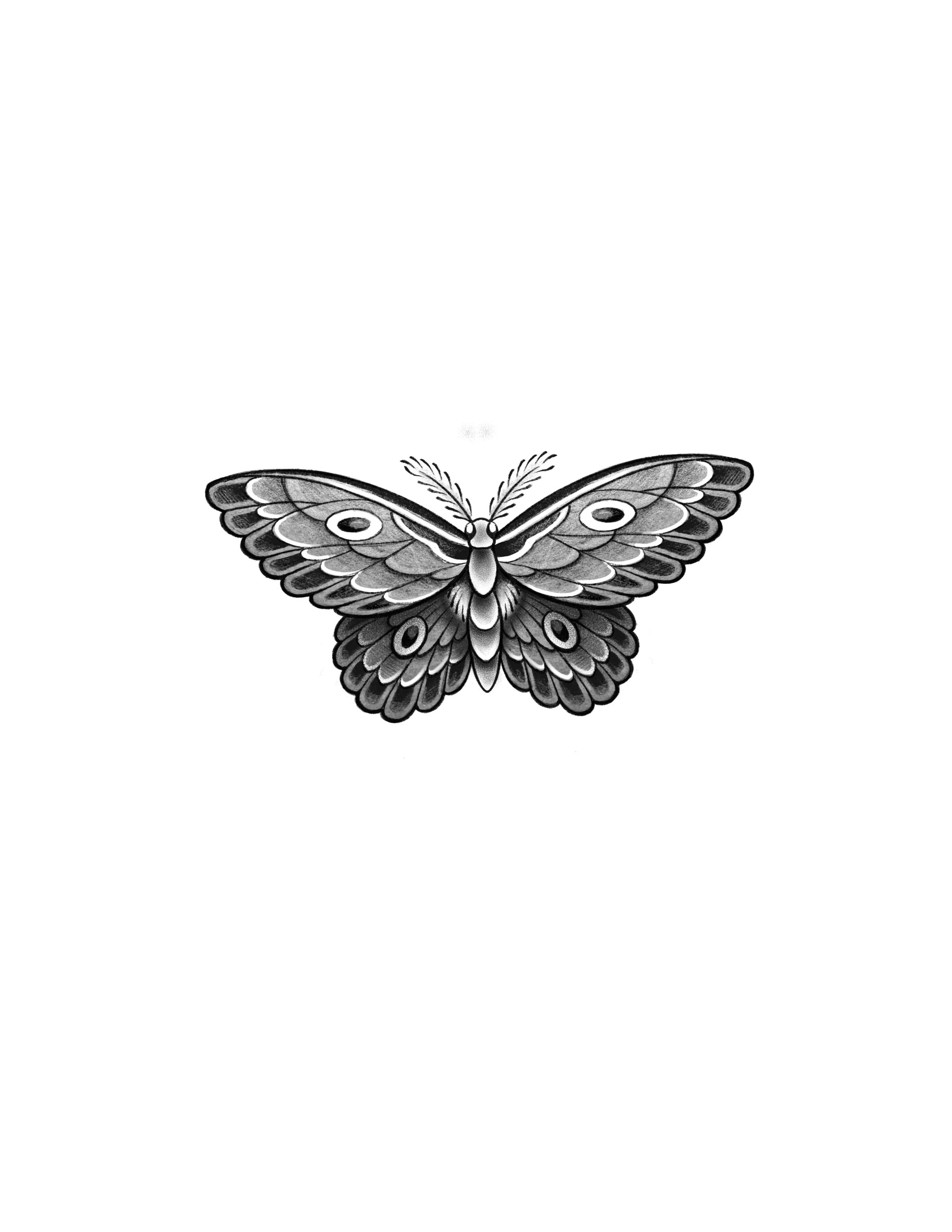 butterfly6_lina_gurutattooflash.jpg