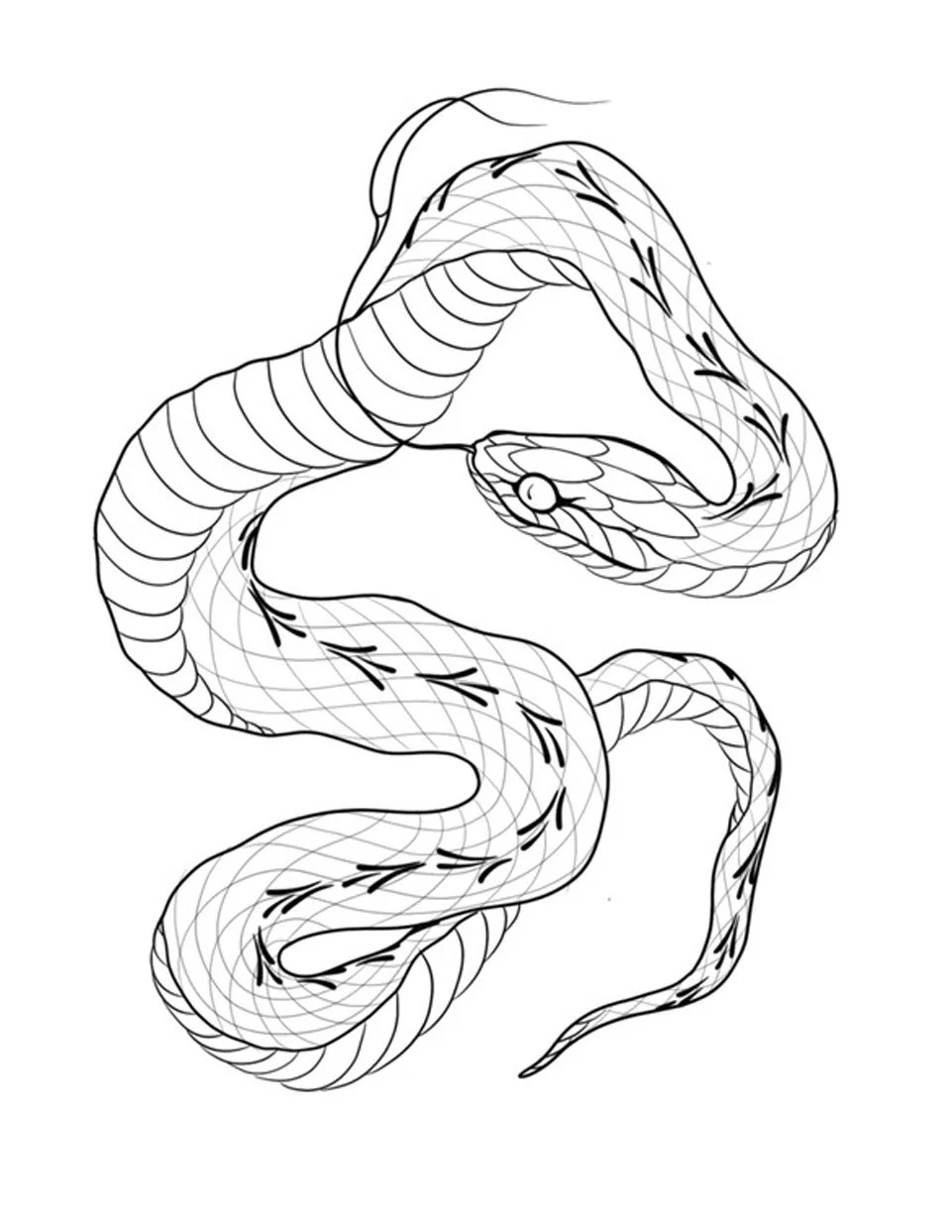 Snake