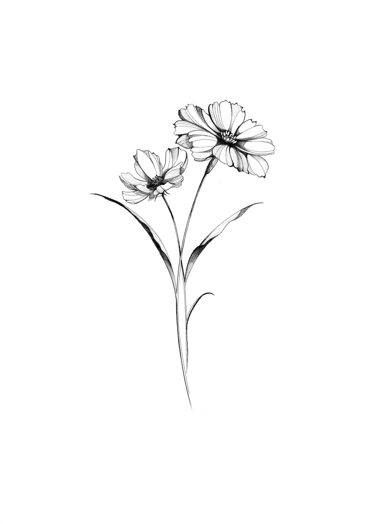 FlowerField_Guru.jpeg