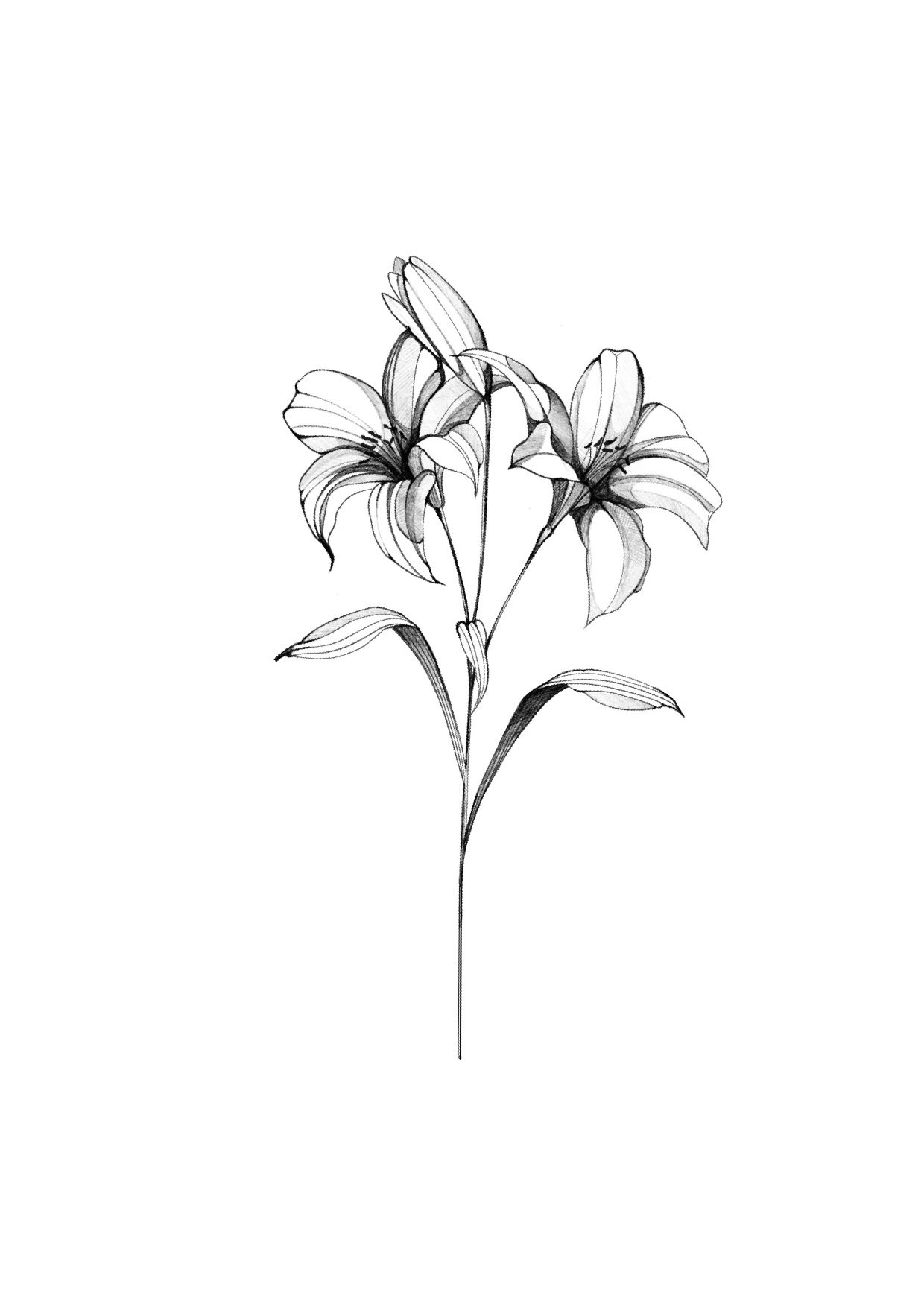 FloralLove_Guru.jpeg