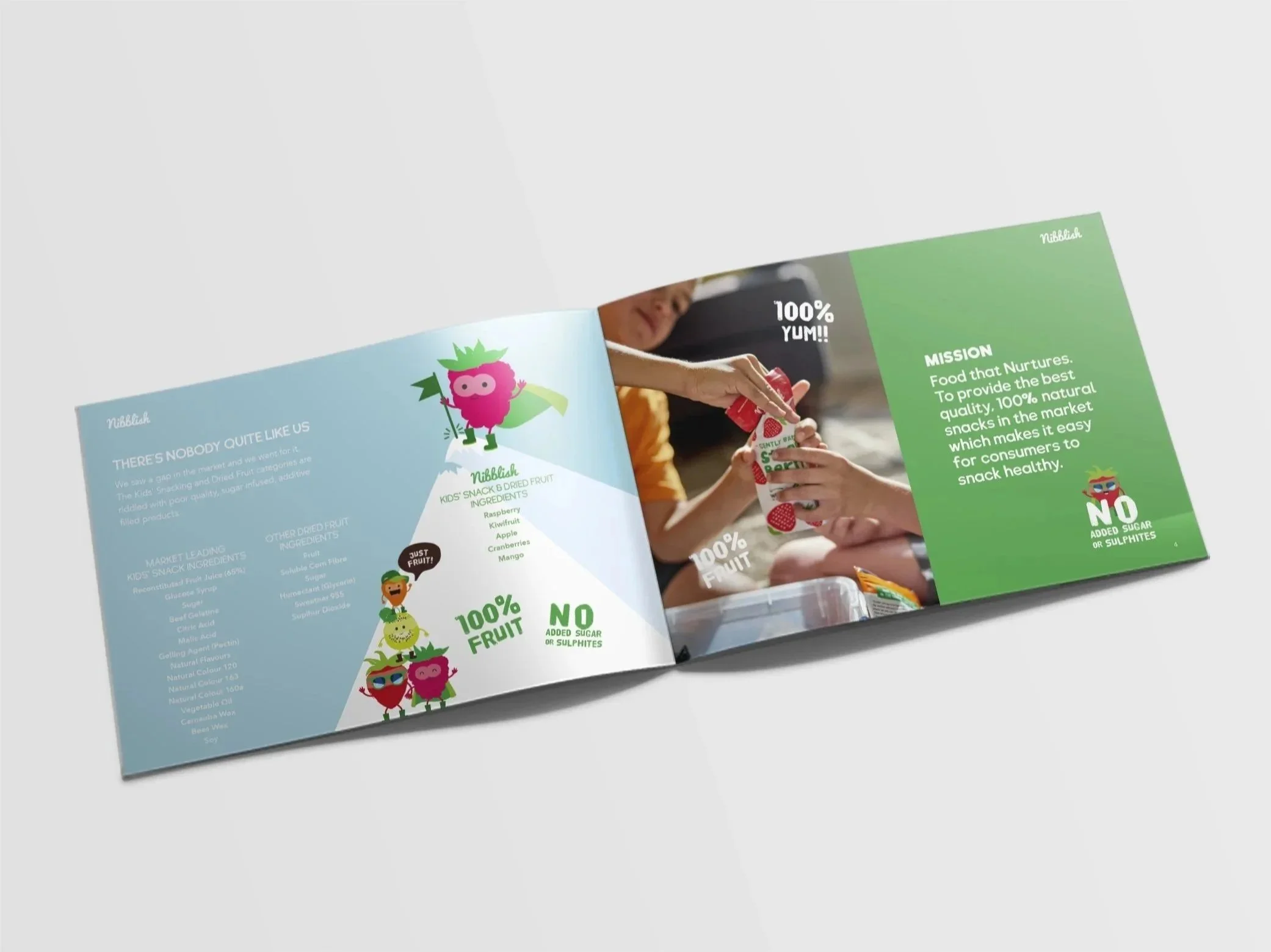 Nibblish Print Design for their Information Memorandum