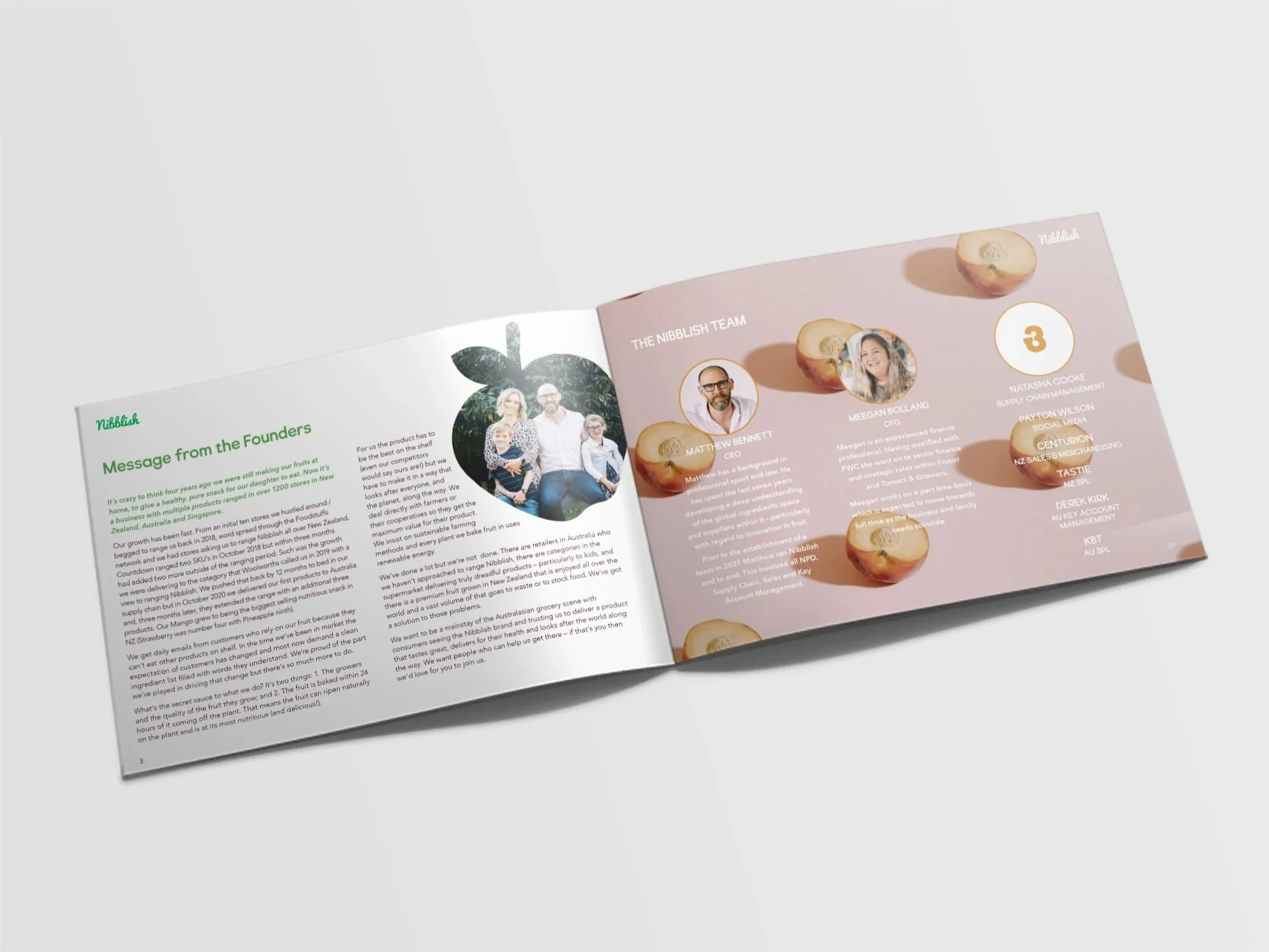 Nibblish Print Design for their Information Memorandum