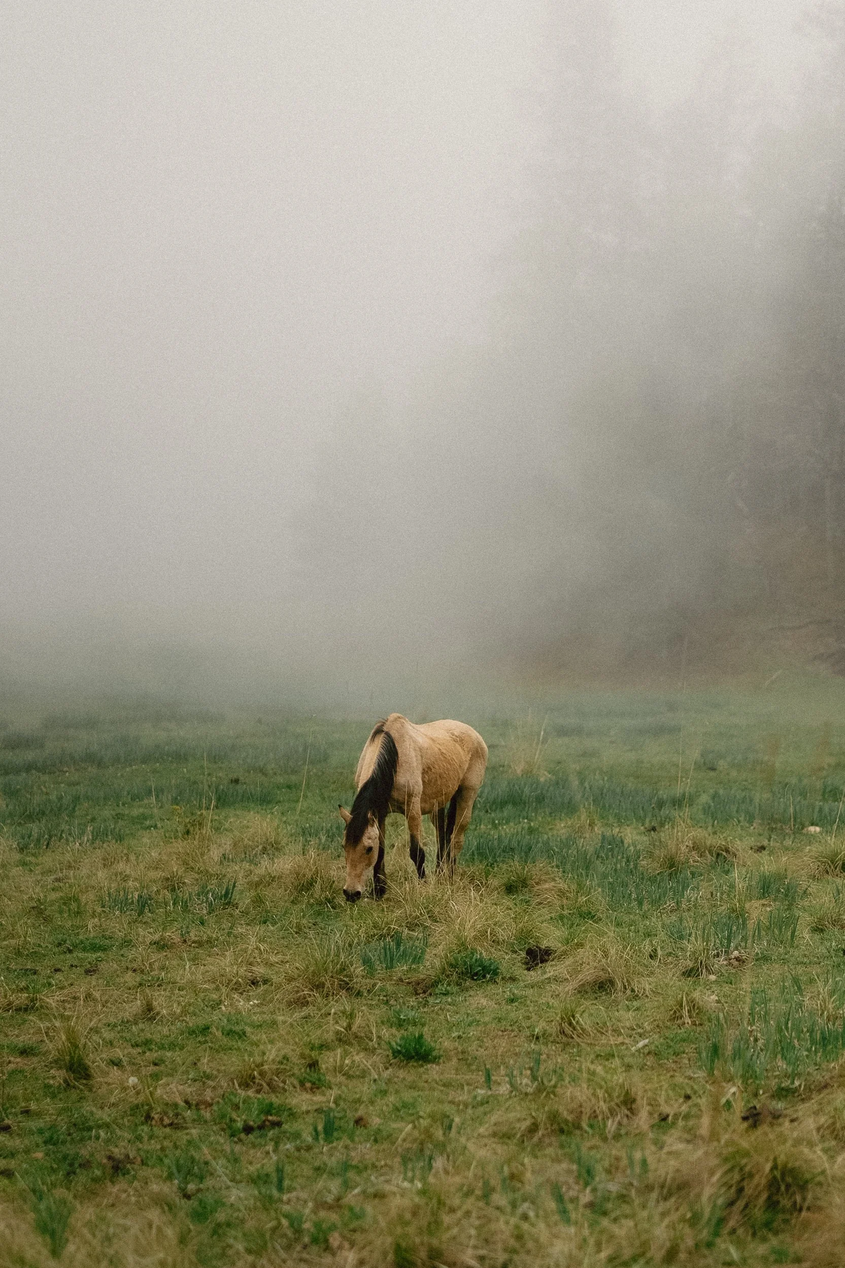 Jimena & Daniel - abgraph.mx-269.jpg