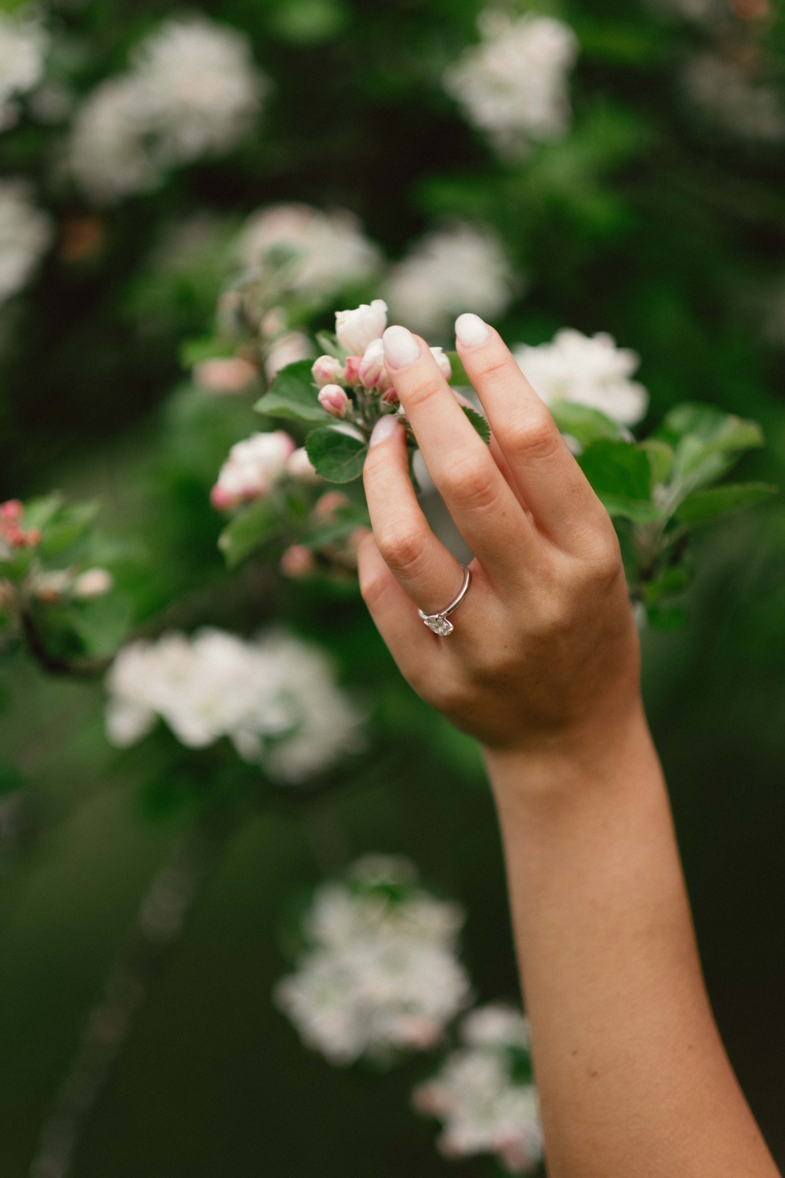 Jimena & Daniel - abgraph.mx-155.jpg