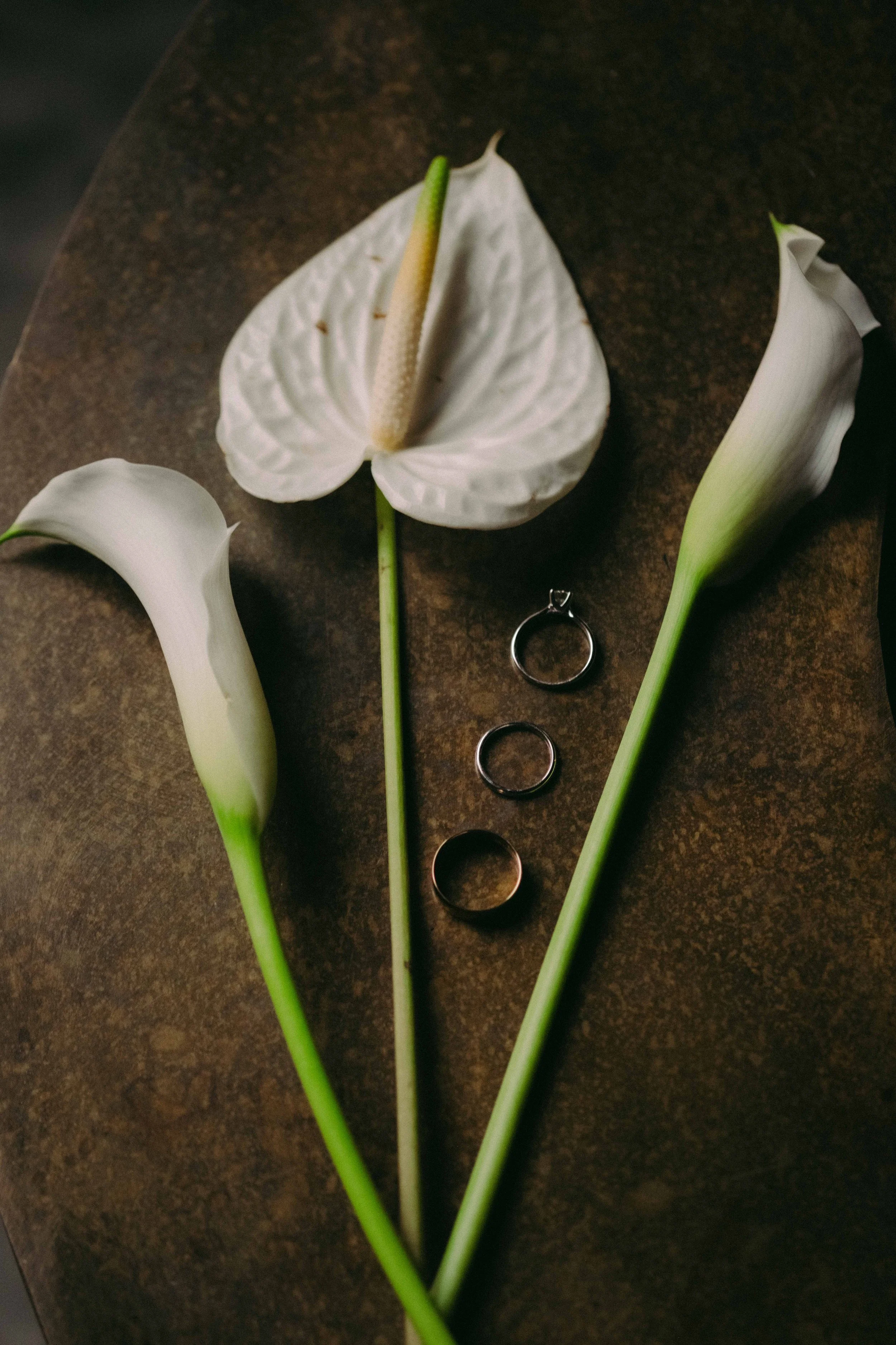 M&F - Wedding-13.jpg