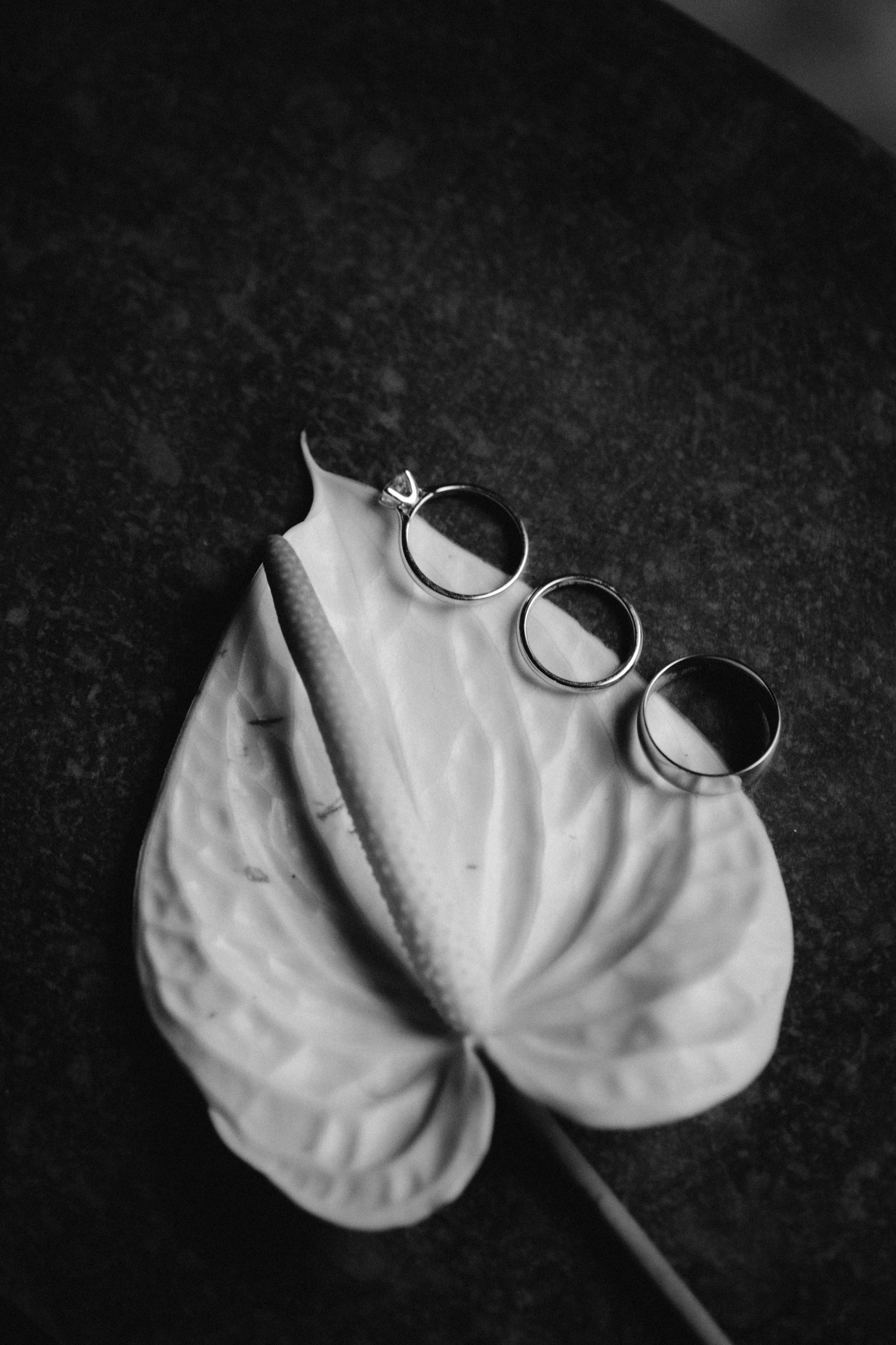 M&F - BNW-5.jpg