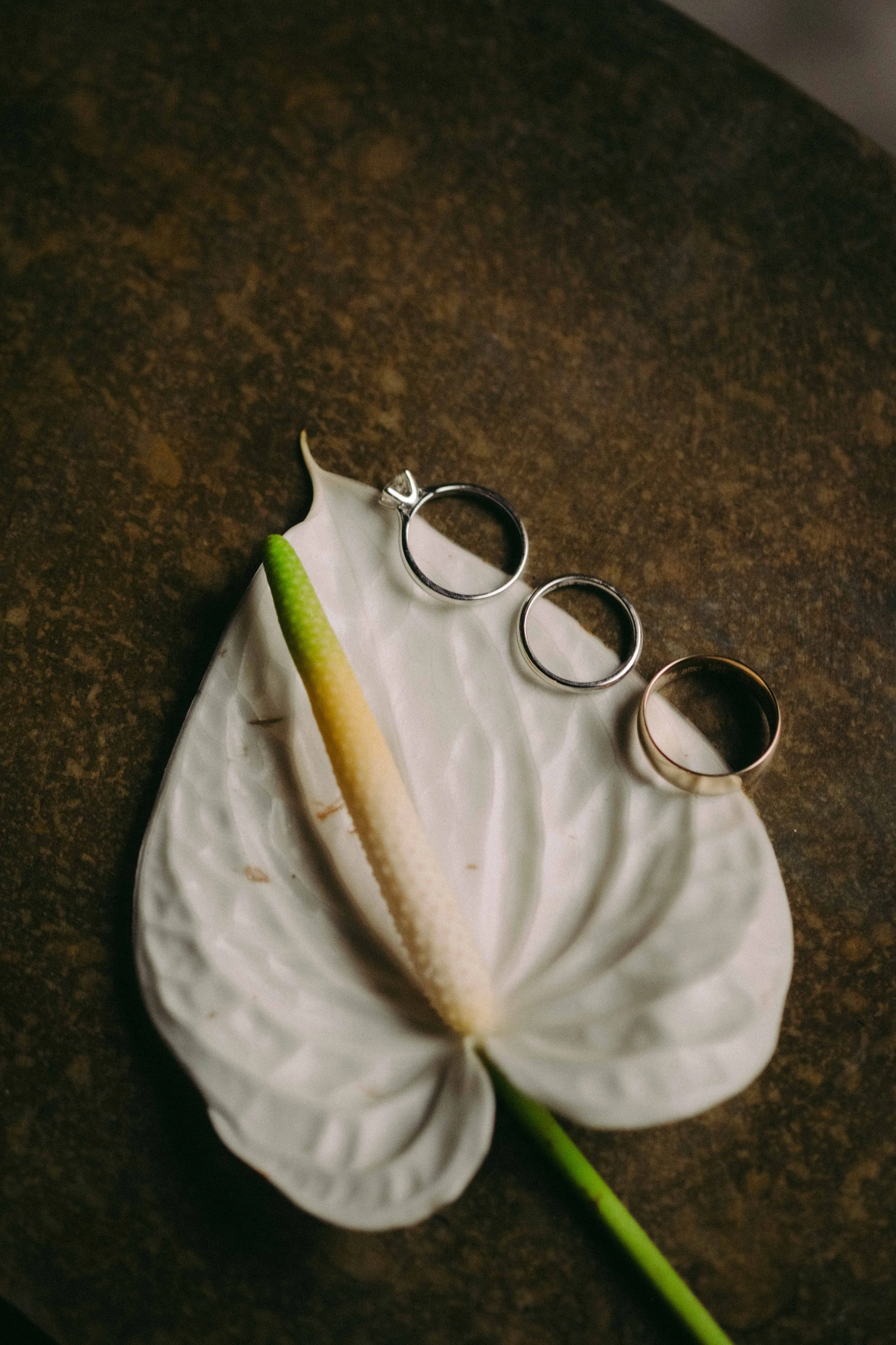M&F - Wedding-12.jpg