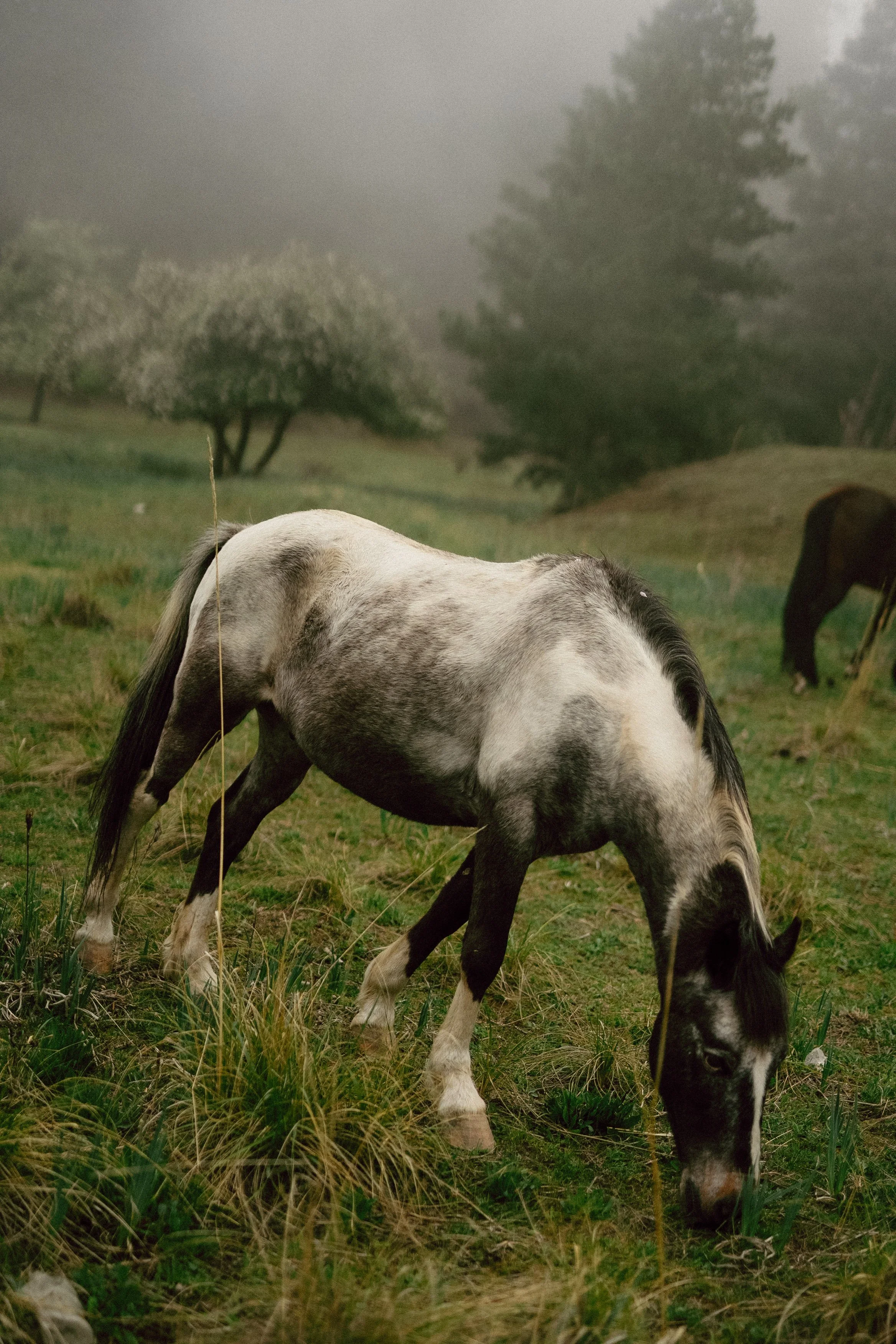 Jimena & Daniel - abgraph.mx-268.jpg