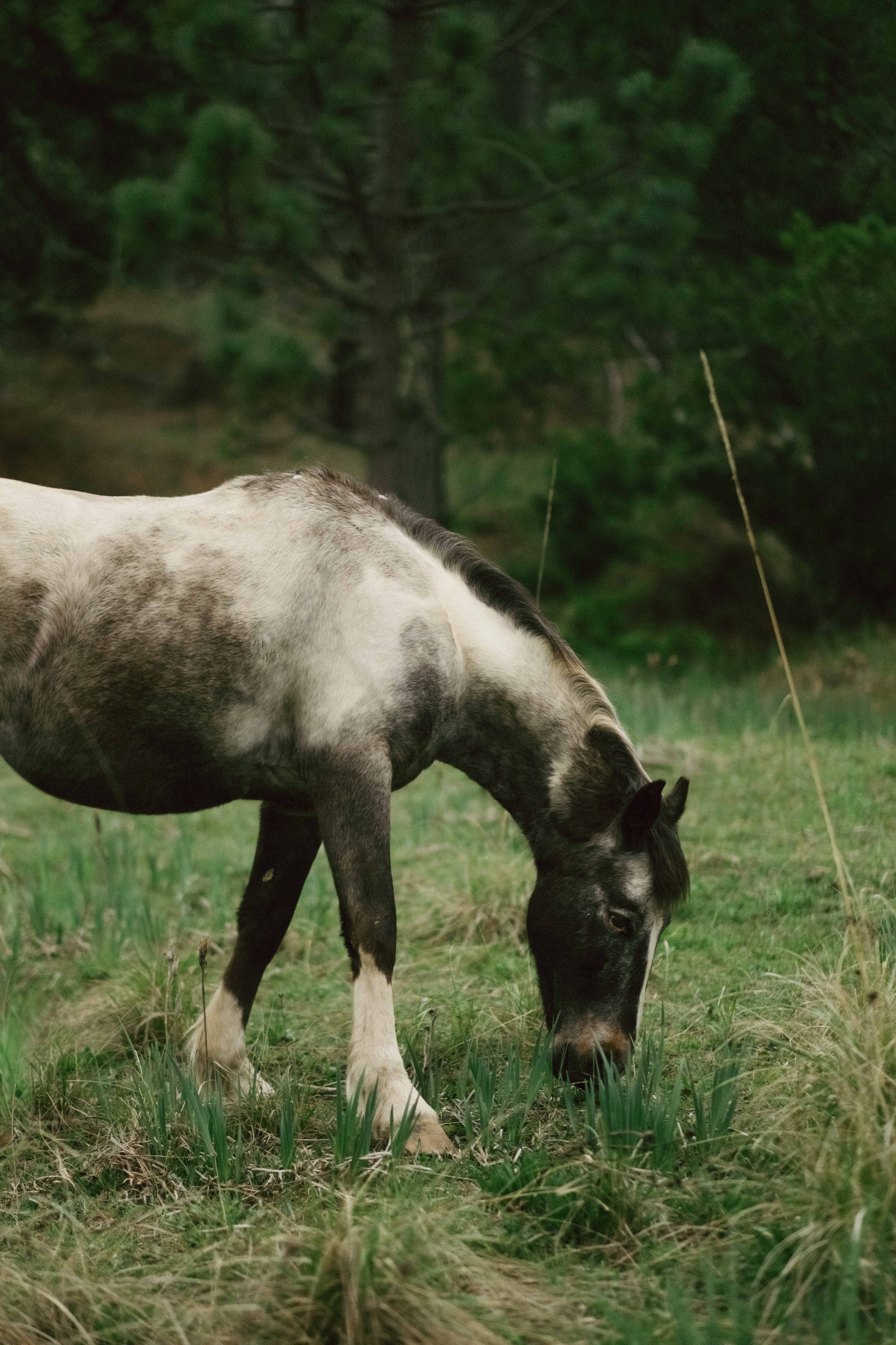 Jimena & Daniel - abgraph.mx-274.jpg