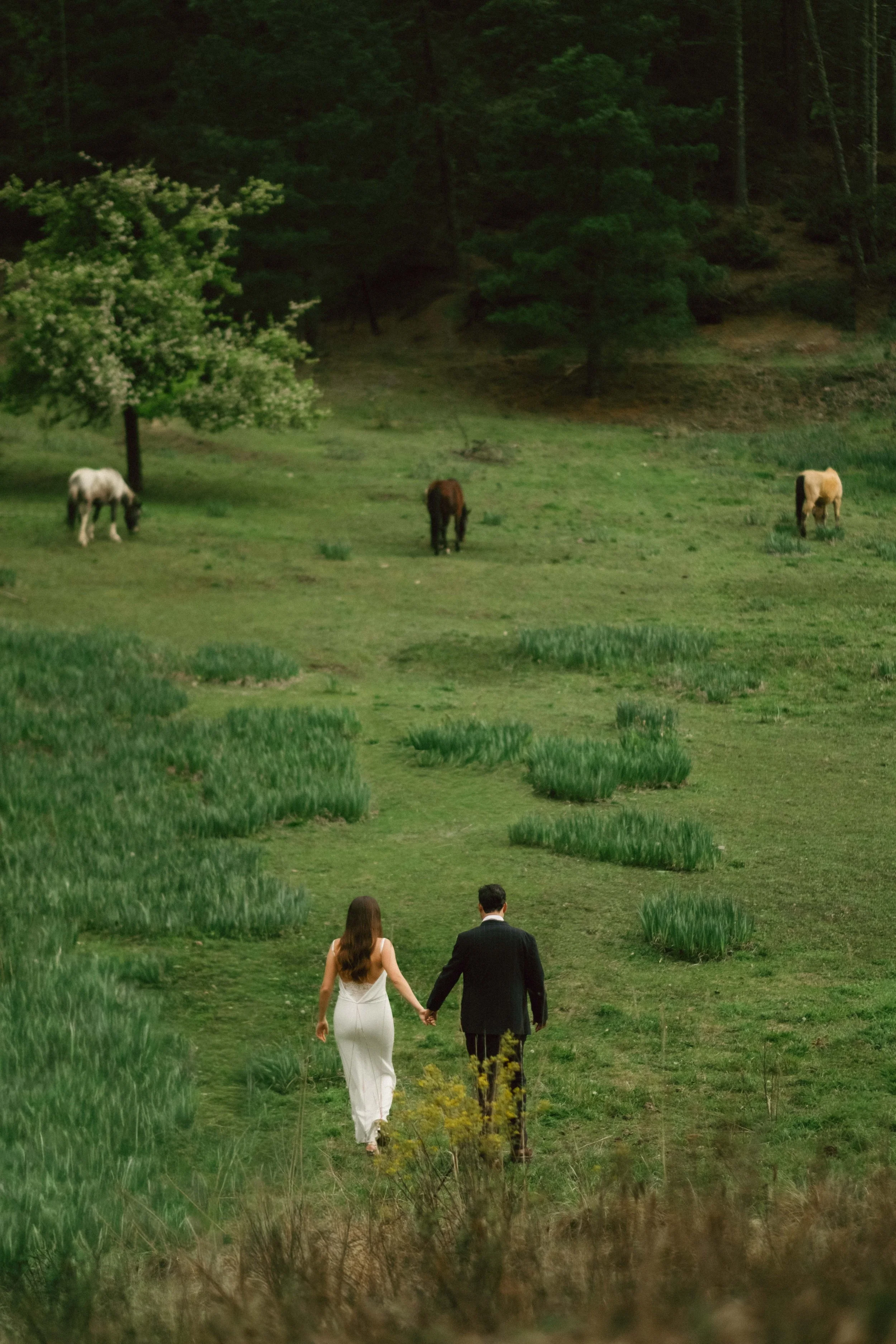 Jimena & Daniel - abgraph.mx-248.jpg